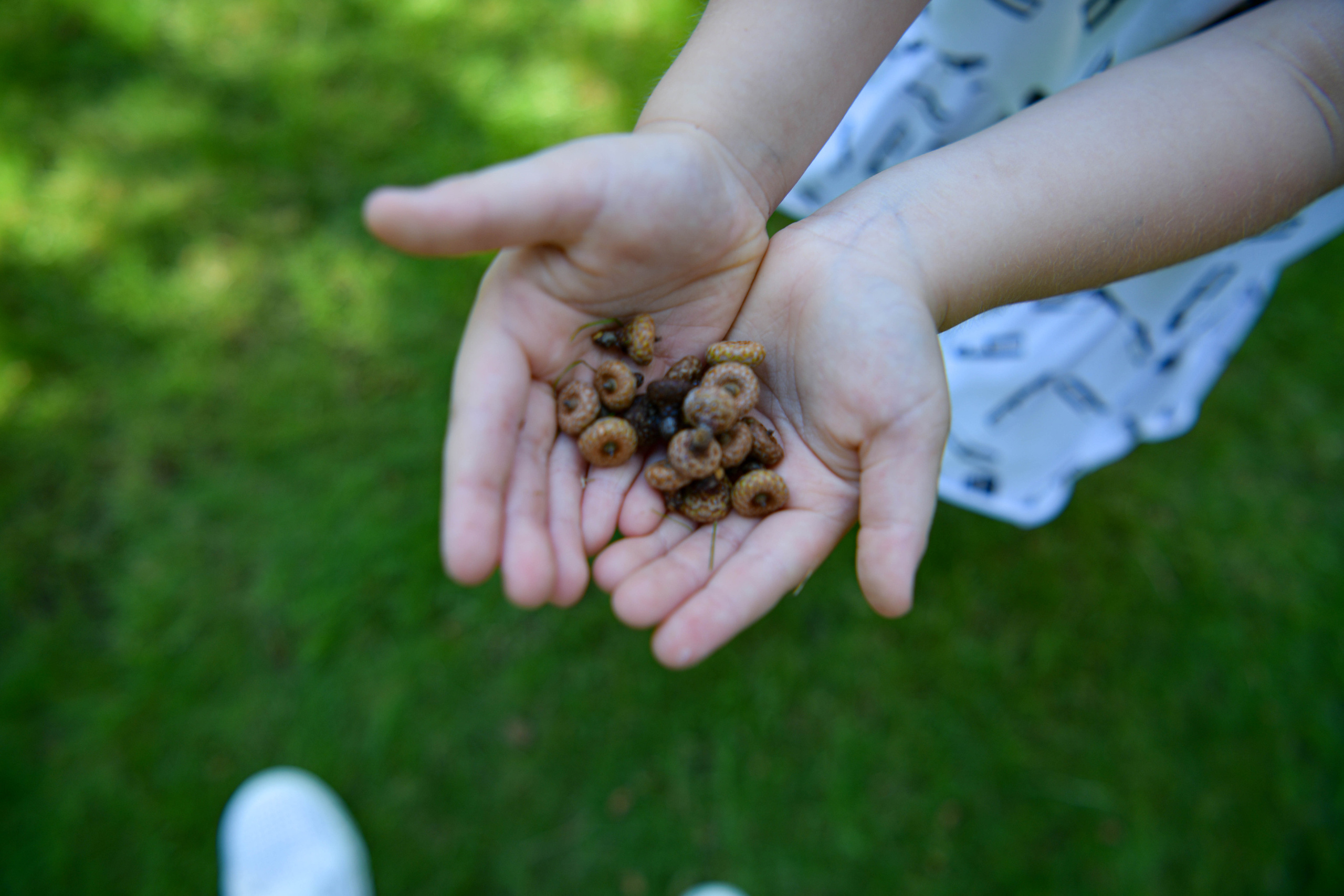 День народження Демид.Репортаж. Репортажний та сімейний фотограф Дар’я Хорошавцева