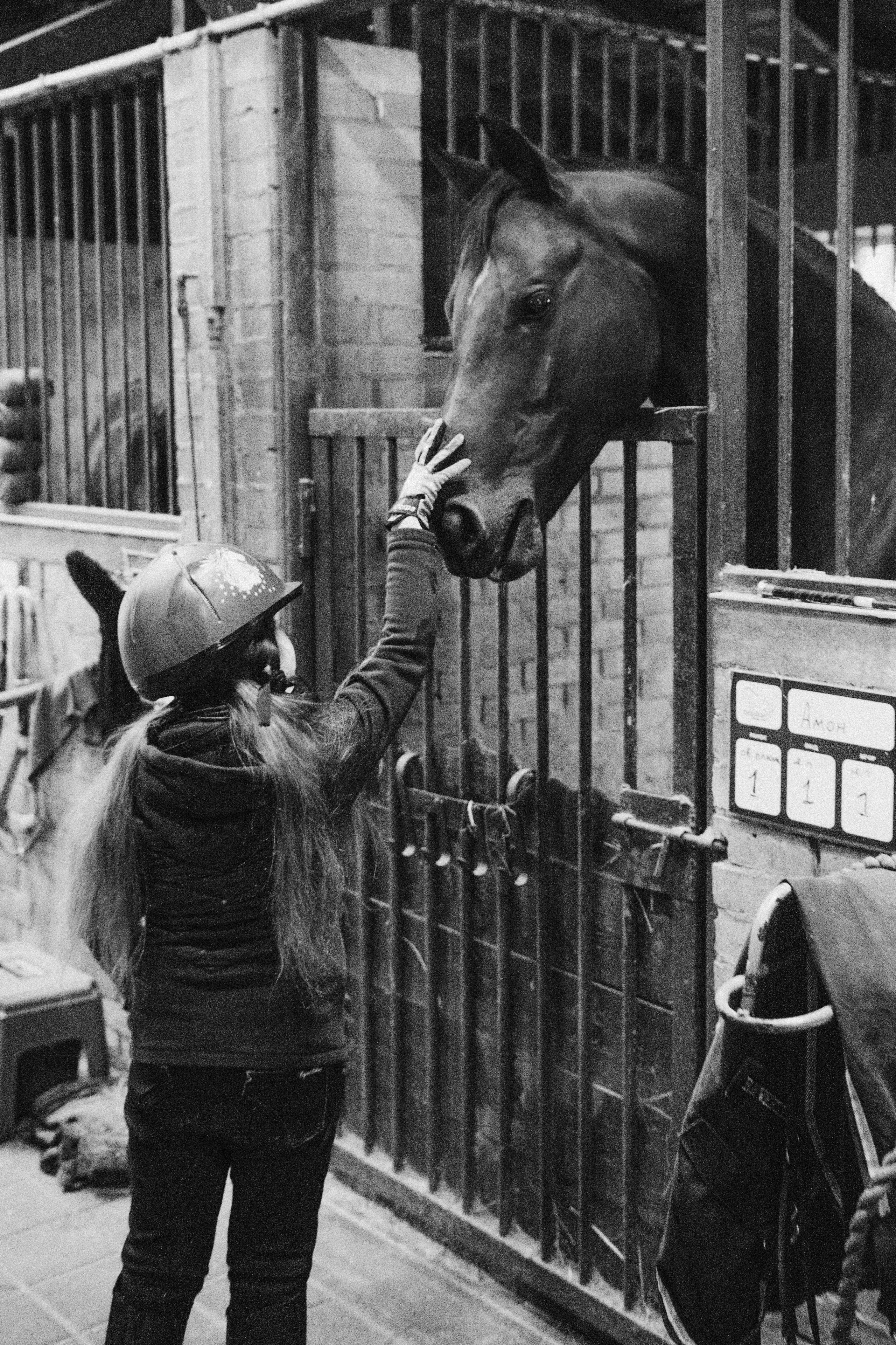 Стефанія. Кінний клуб Balaton. Репортажний та сімейний фотограф Дар’я Хорошавцева