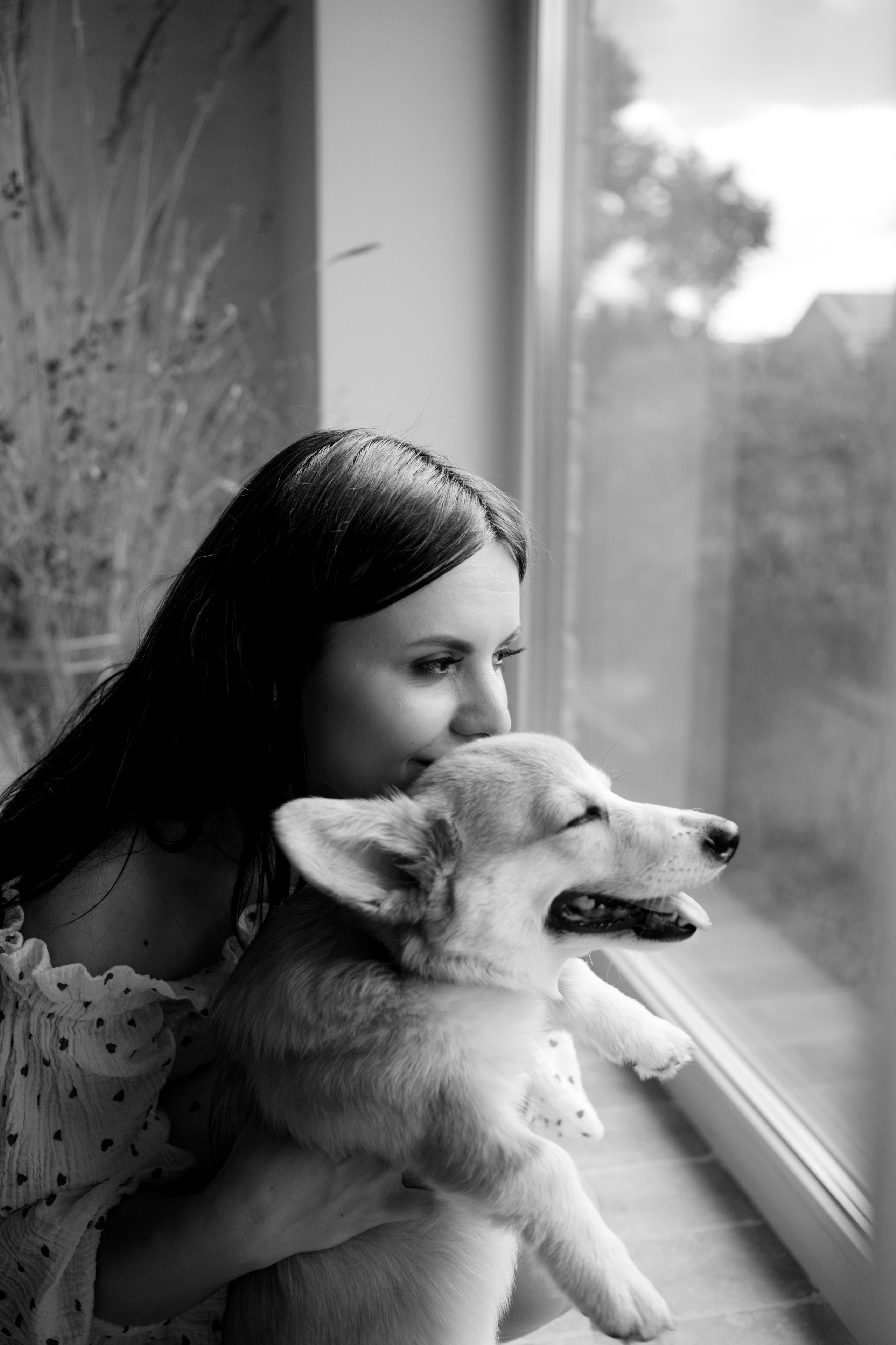 Коргі. Репортажний та сімейний фотограф Дар’я Хорошавцева