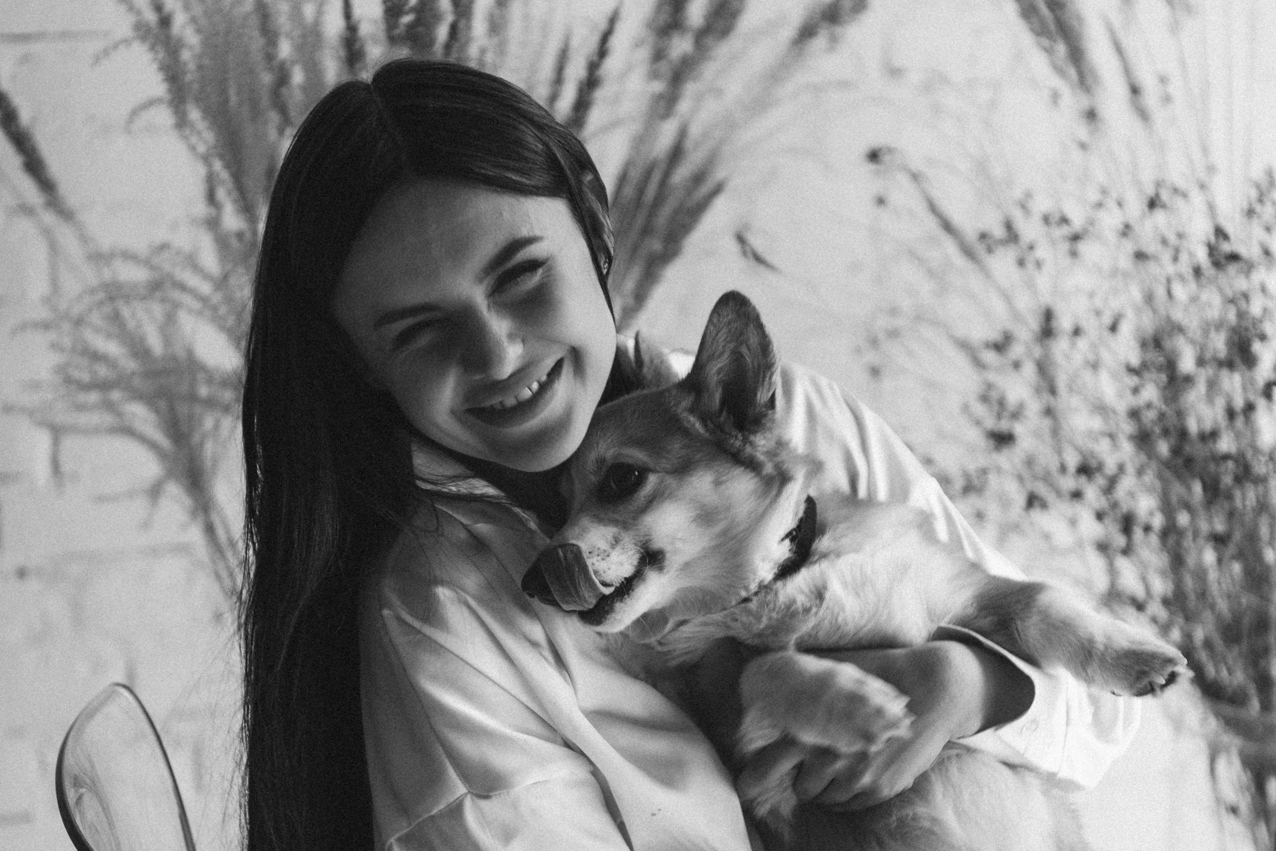 Коргі. Репортажний та сімейний фотограф Дар’я Хорошавцева