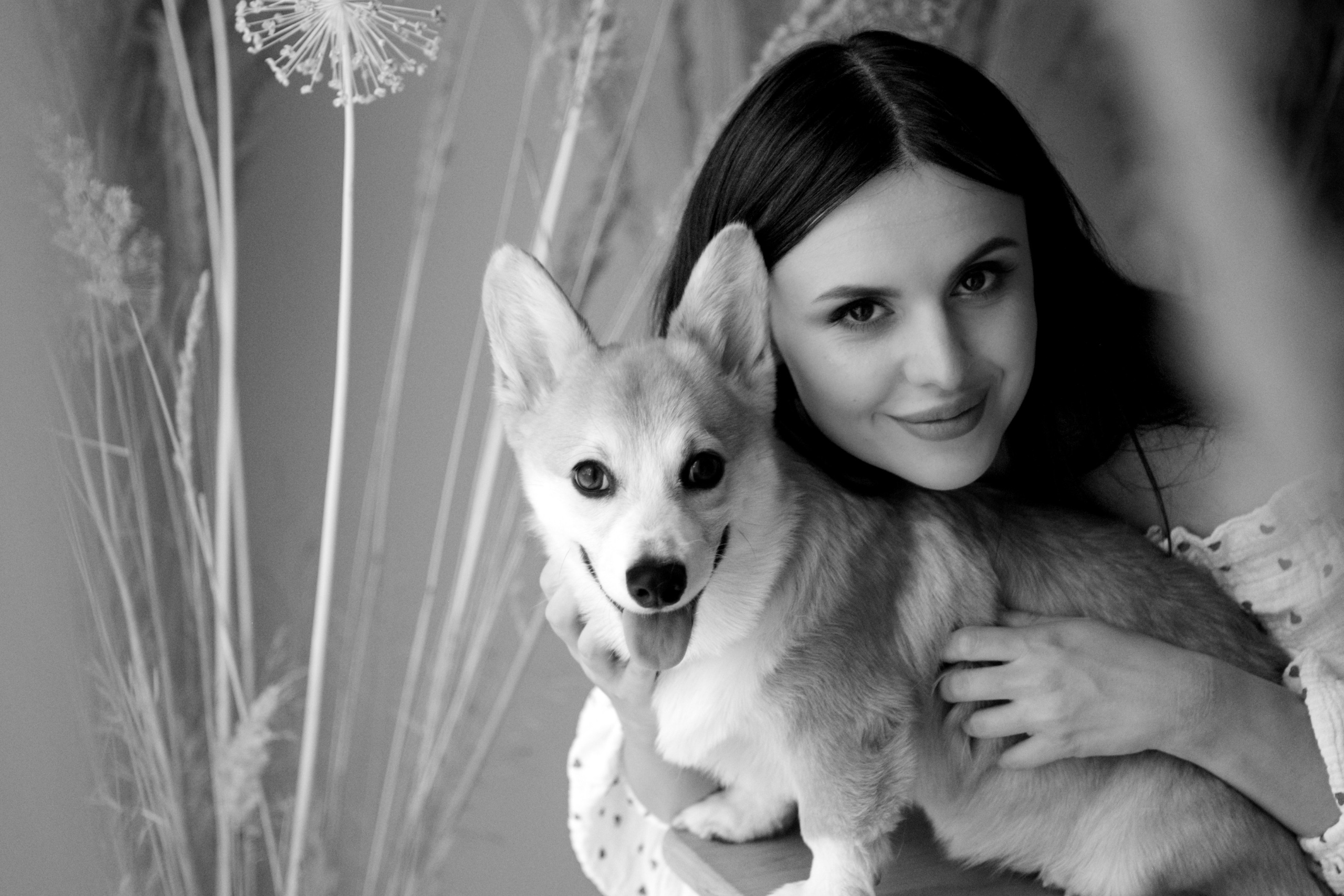 Коргі. Репортажний та сімейний фотограф Дар’я Хорошавцева