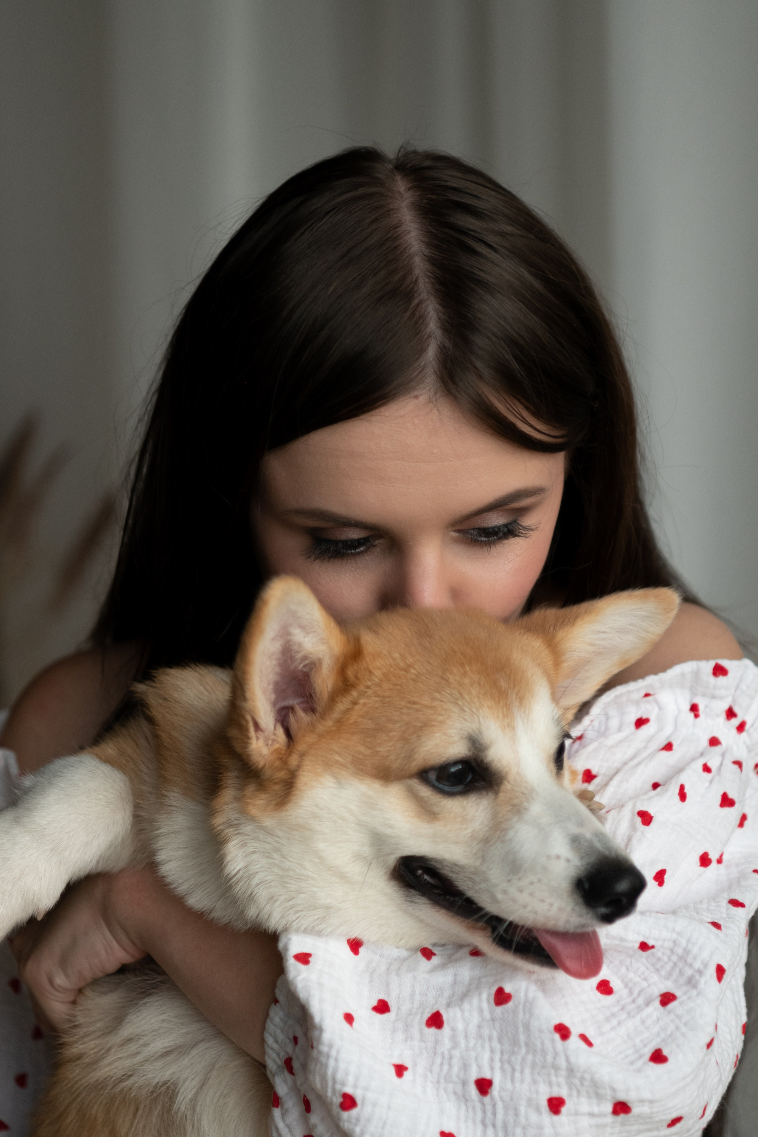 Коргі. Репортажний та сімейний фотограф Дар’я Хорошавцева