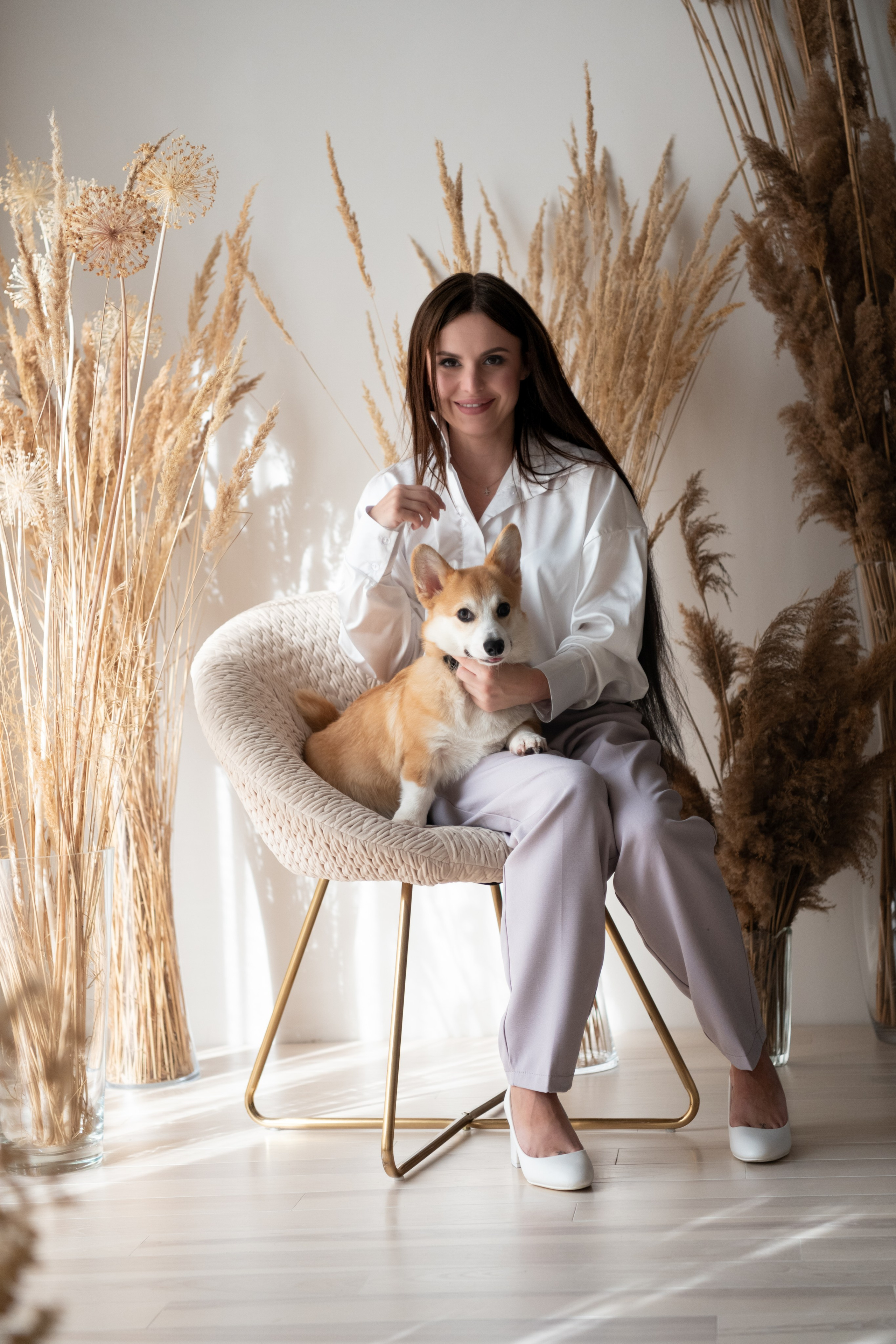 Коргі. Репортажний та сімейний фотограф Дар’я Хорошавцева