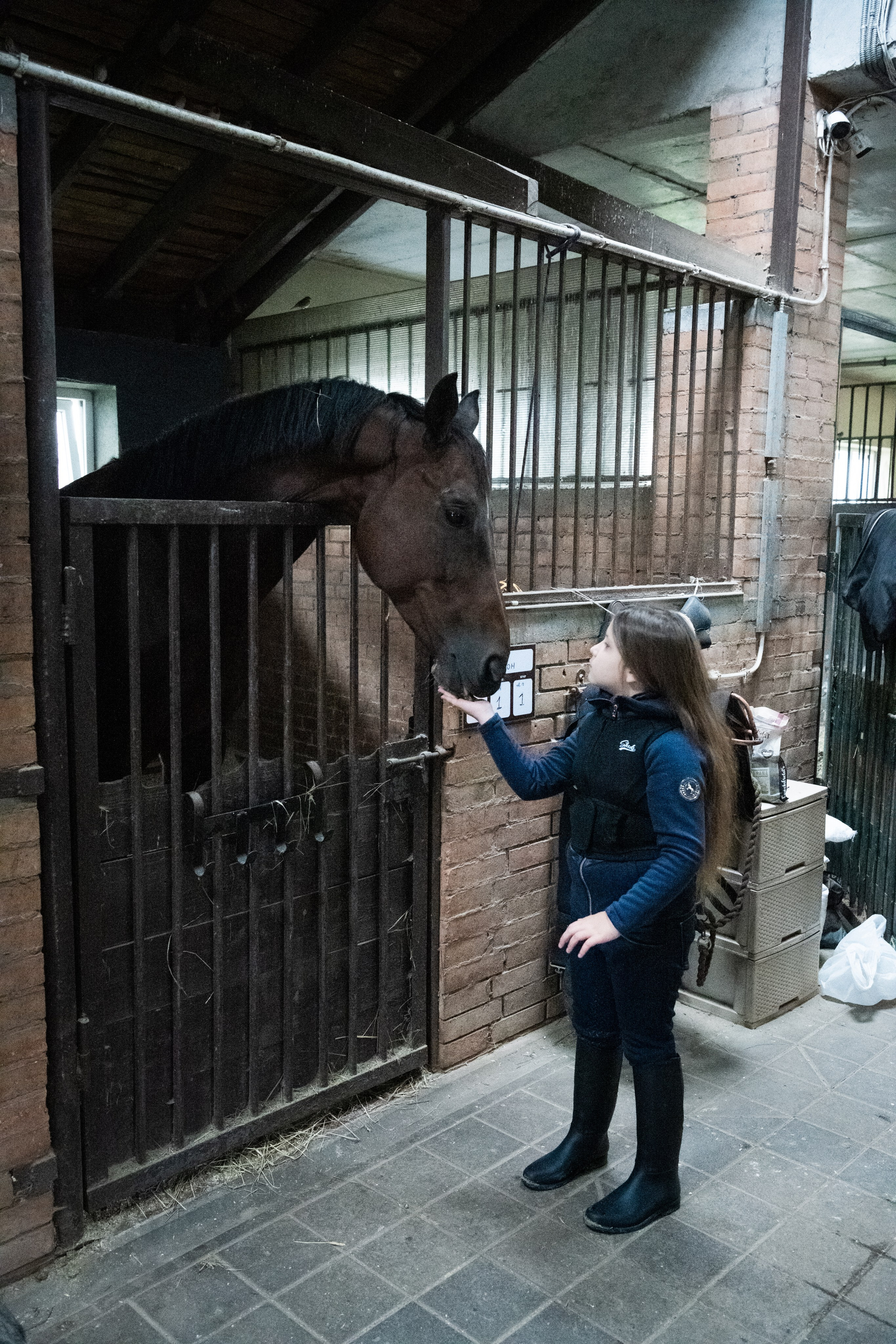 Стефанія. Кінний клуб Balaton. Репортажний та сімейний фотограф Дар’я Хорошавцева