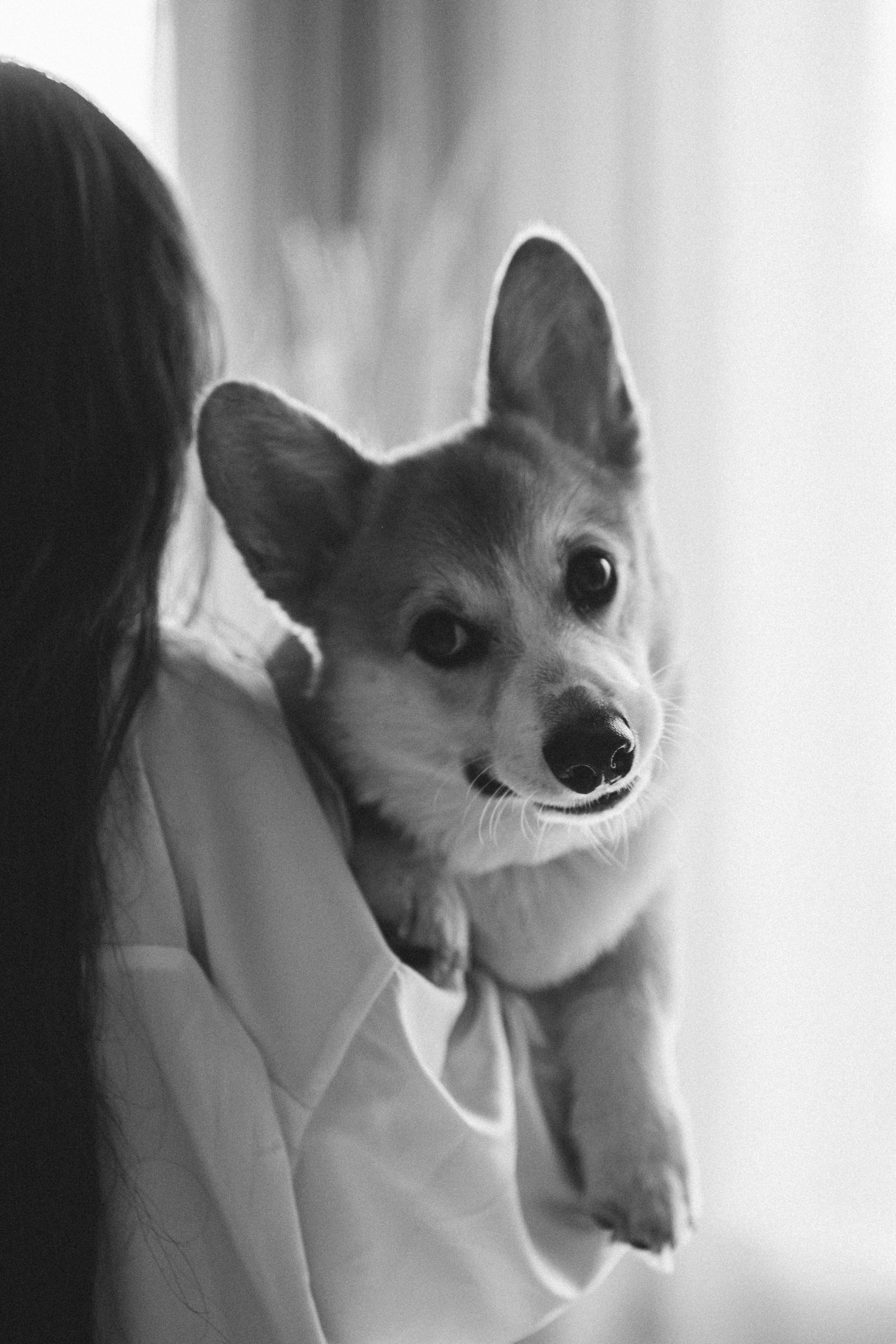 Відгуки. Репортажний та сімейний фотограф Дар’я Хорошавцева