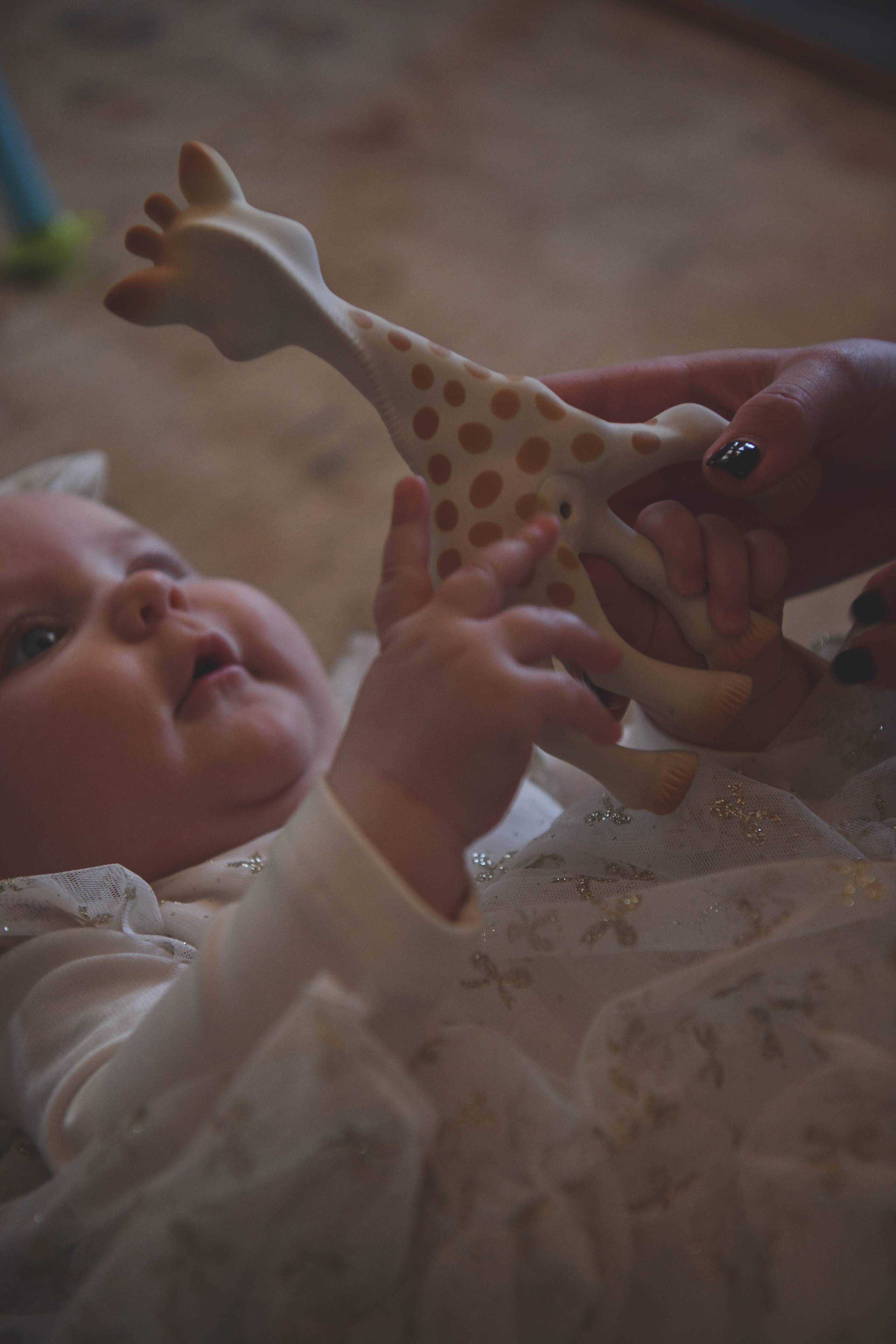 Андрій, Інна, Віка, Діма, Софія. Репортажний та сімейний фотограф Дар’я Хорошавцева