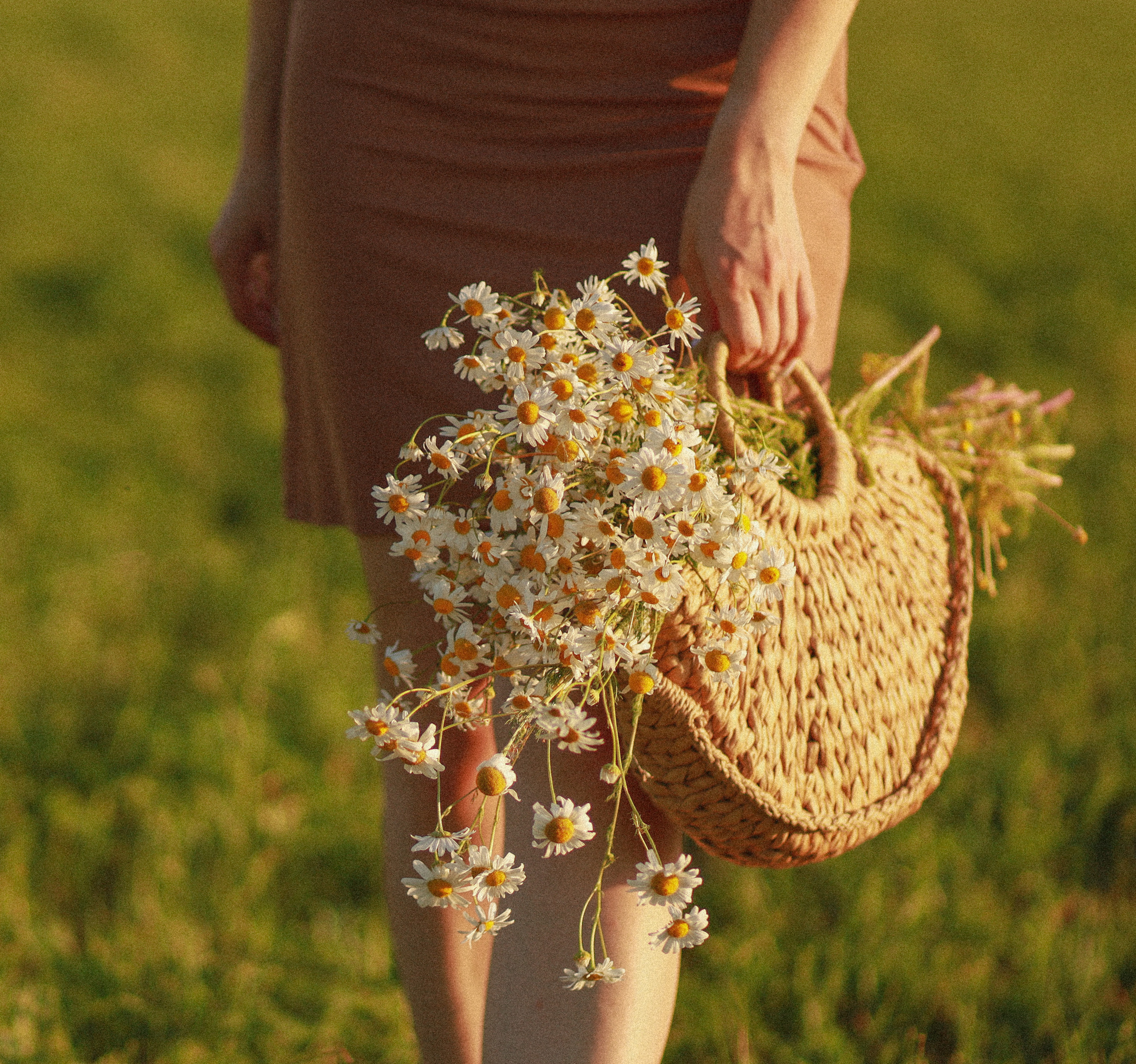 Портретная съемка. Fotograf Praha a Plzeň. Lovestory, svatba, portrét, rodinné focení