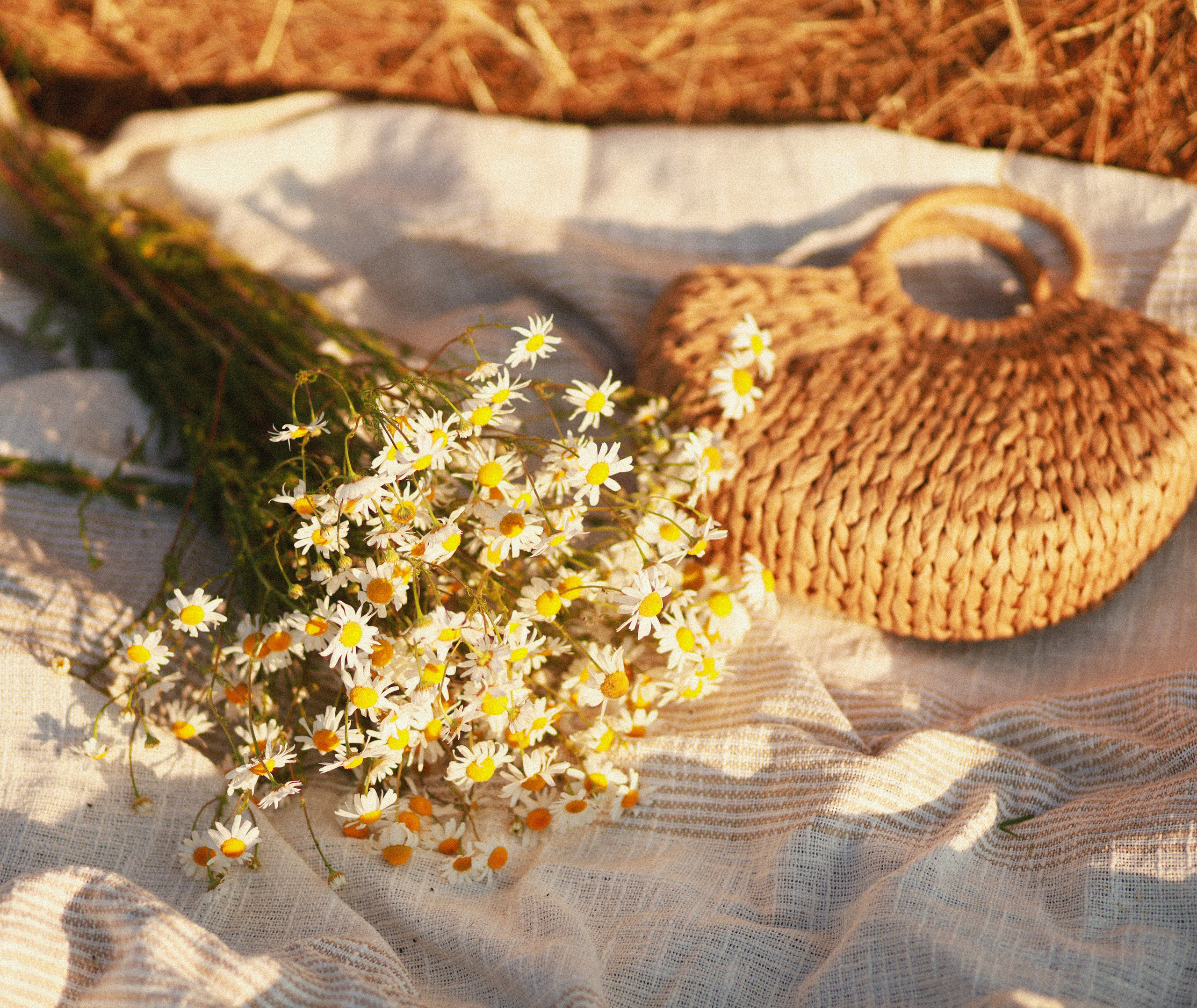 Портретная съемка. Fotograf Praha a Plzeň. Lovestory, svatba, portrét, rodinné focení