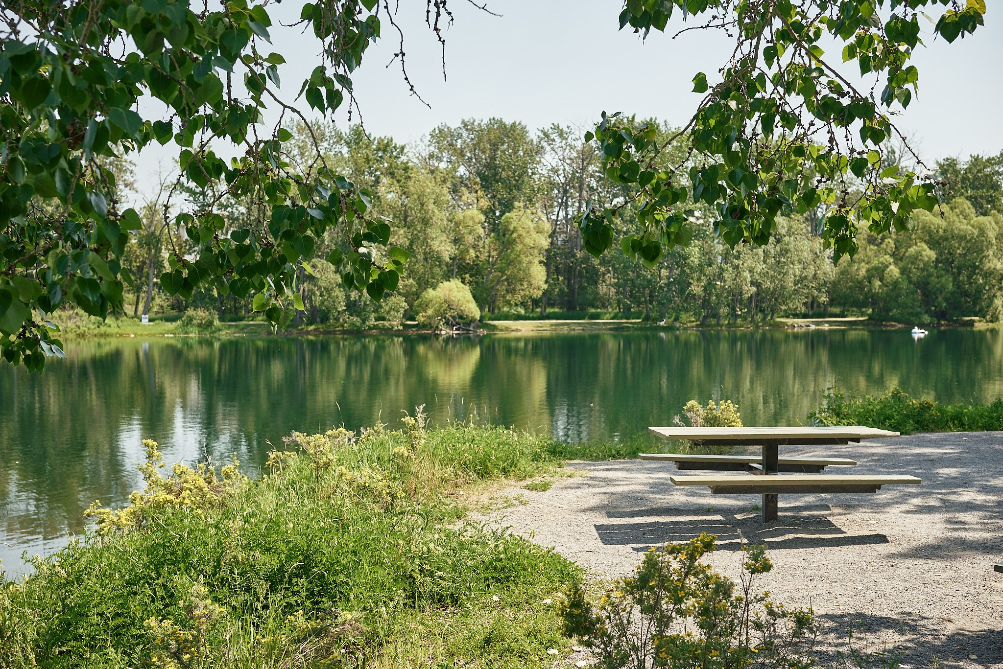 Carburn Park. Calgary wedding photo and video. Photographer Andrii Bielikov