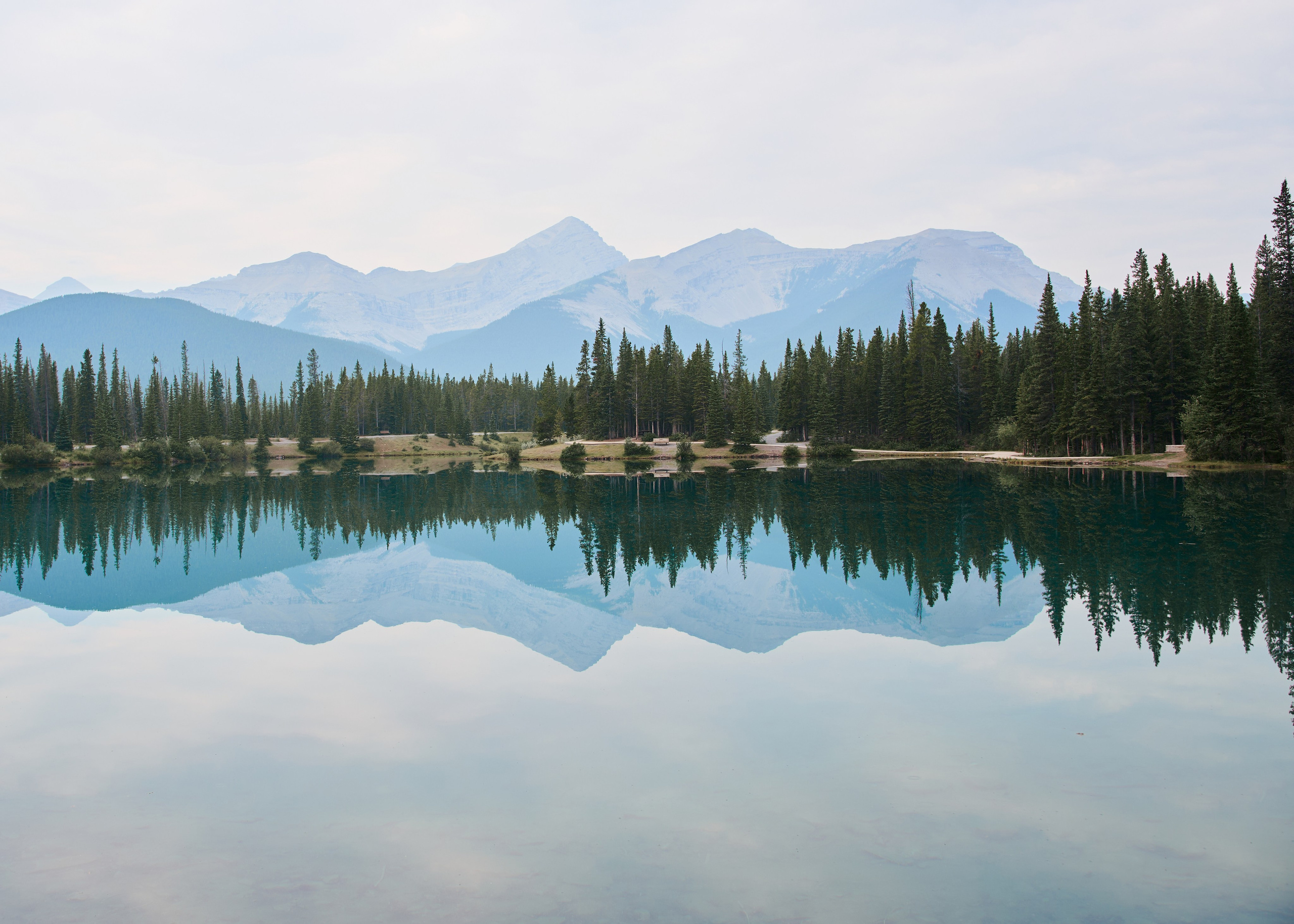 Natalie&Mat. A small, intimate wedding at Forgetmenot Lake, Kananaskis Park. Calgary wedding photographer. Andrii Bielikov