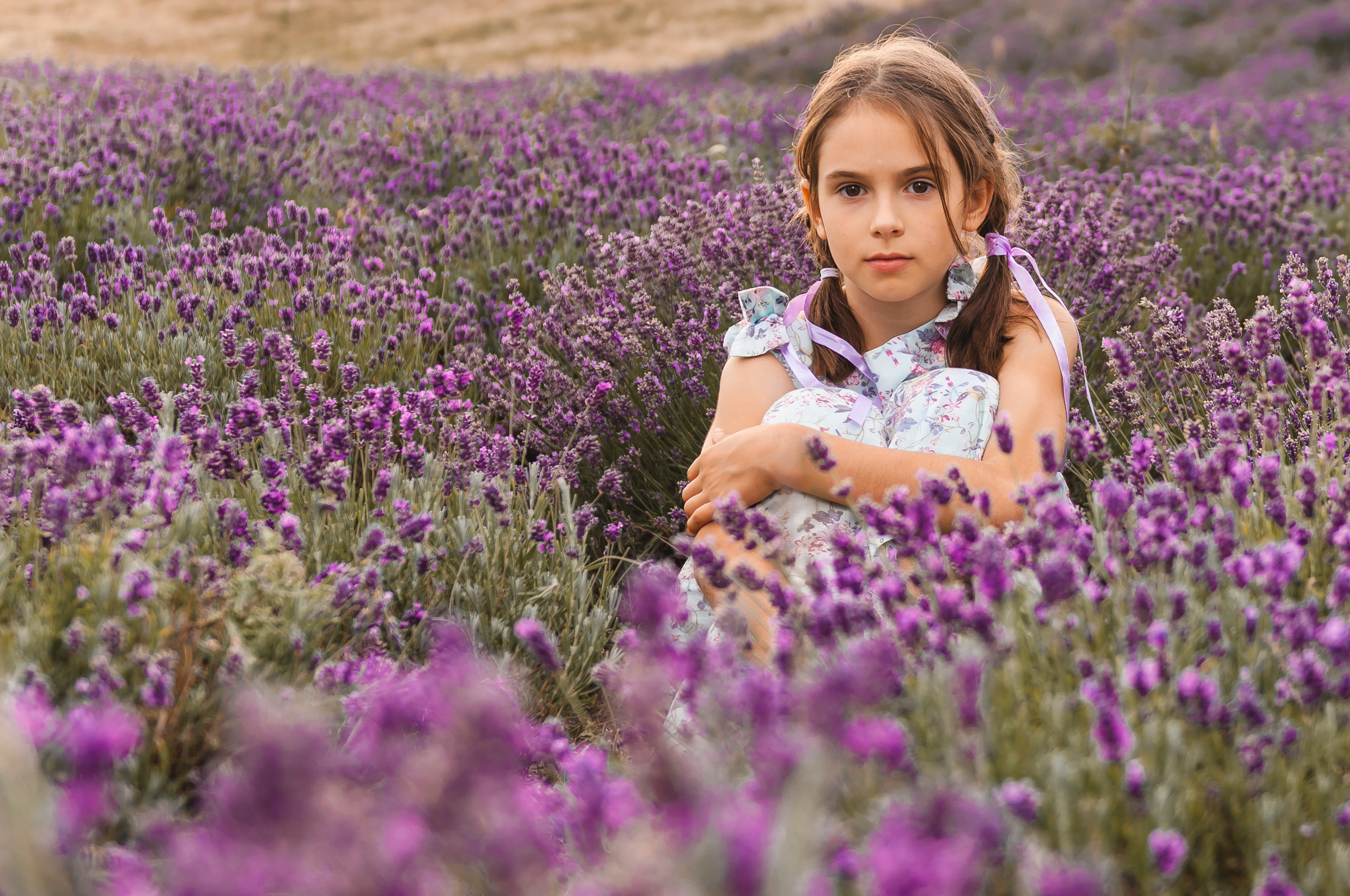 Photoshoot for a large family in the lavender field. Calgary wedding photographer. Andrii Bielikov