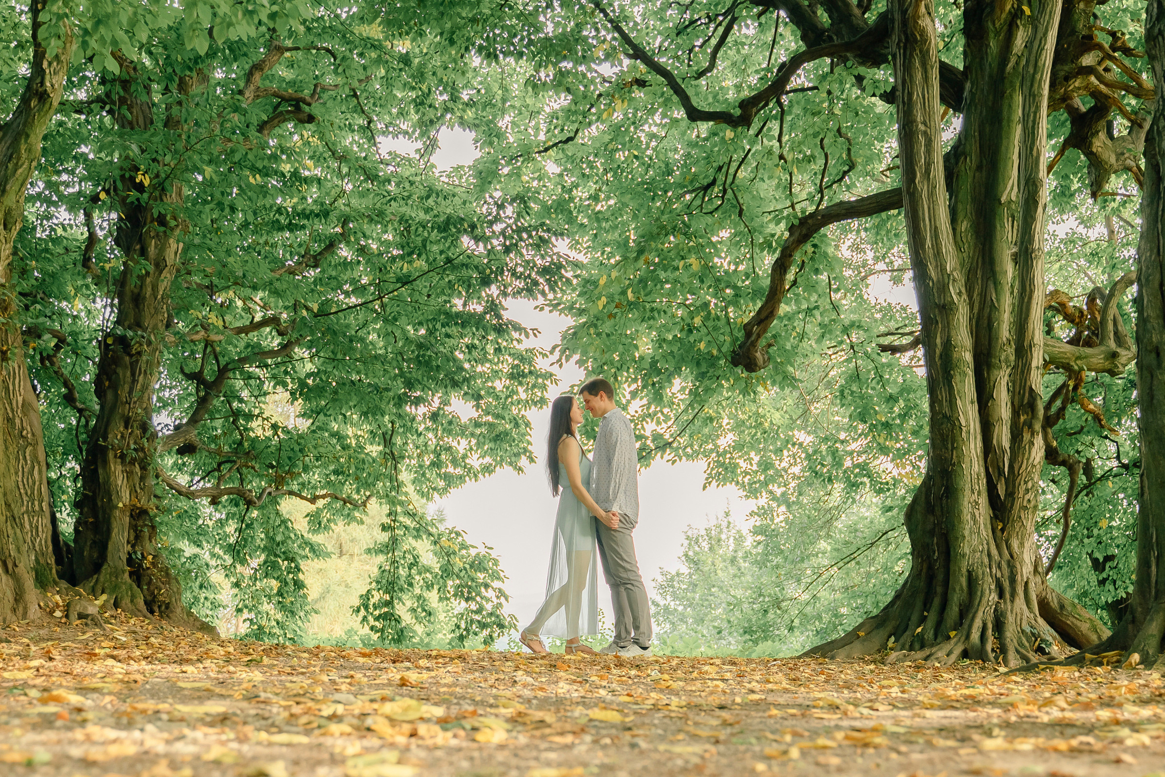 Engagement. Calgary wedding photographer. Andrii Bielikov