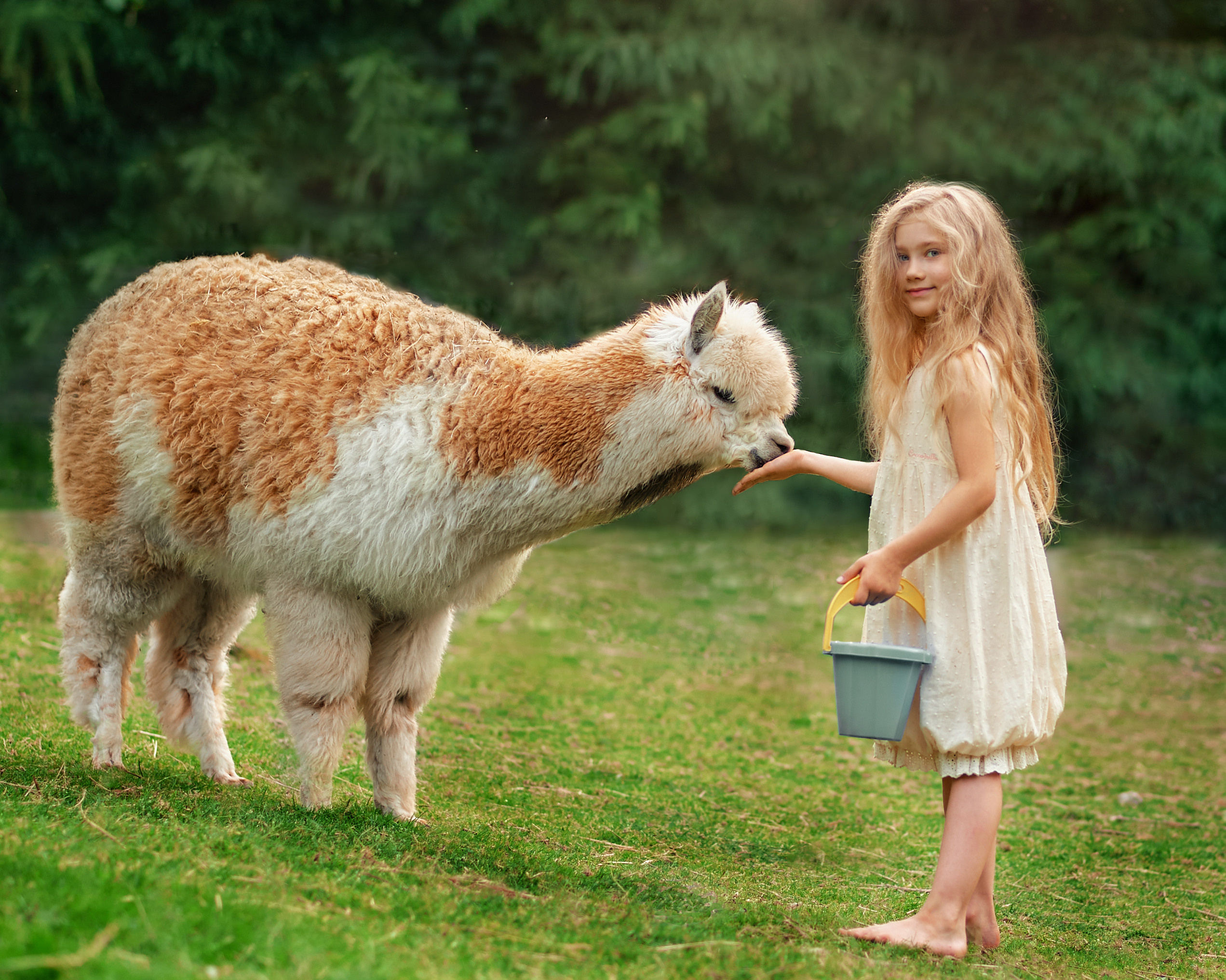 Family photo shoot. Calgary wedding photographer. Andrii Bielikov