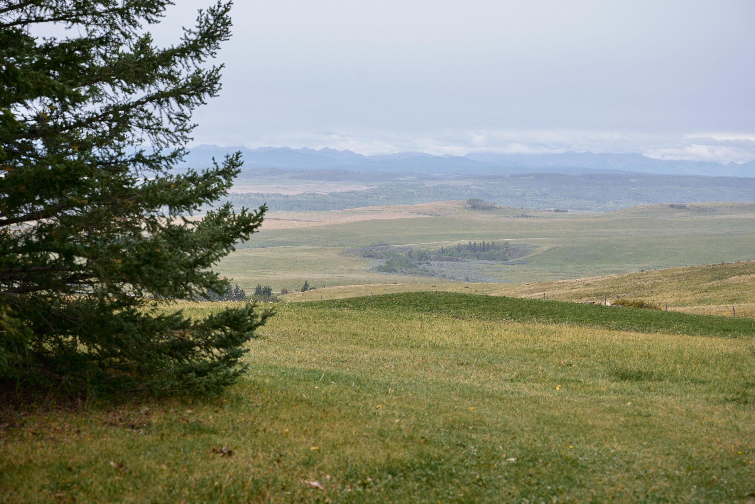 Benjamin&Courtney. Wedding in Kananaskis Park. Calgary wedding photographer. Andrii Bielikov