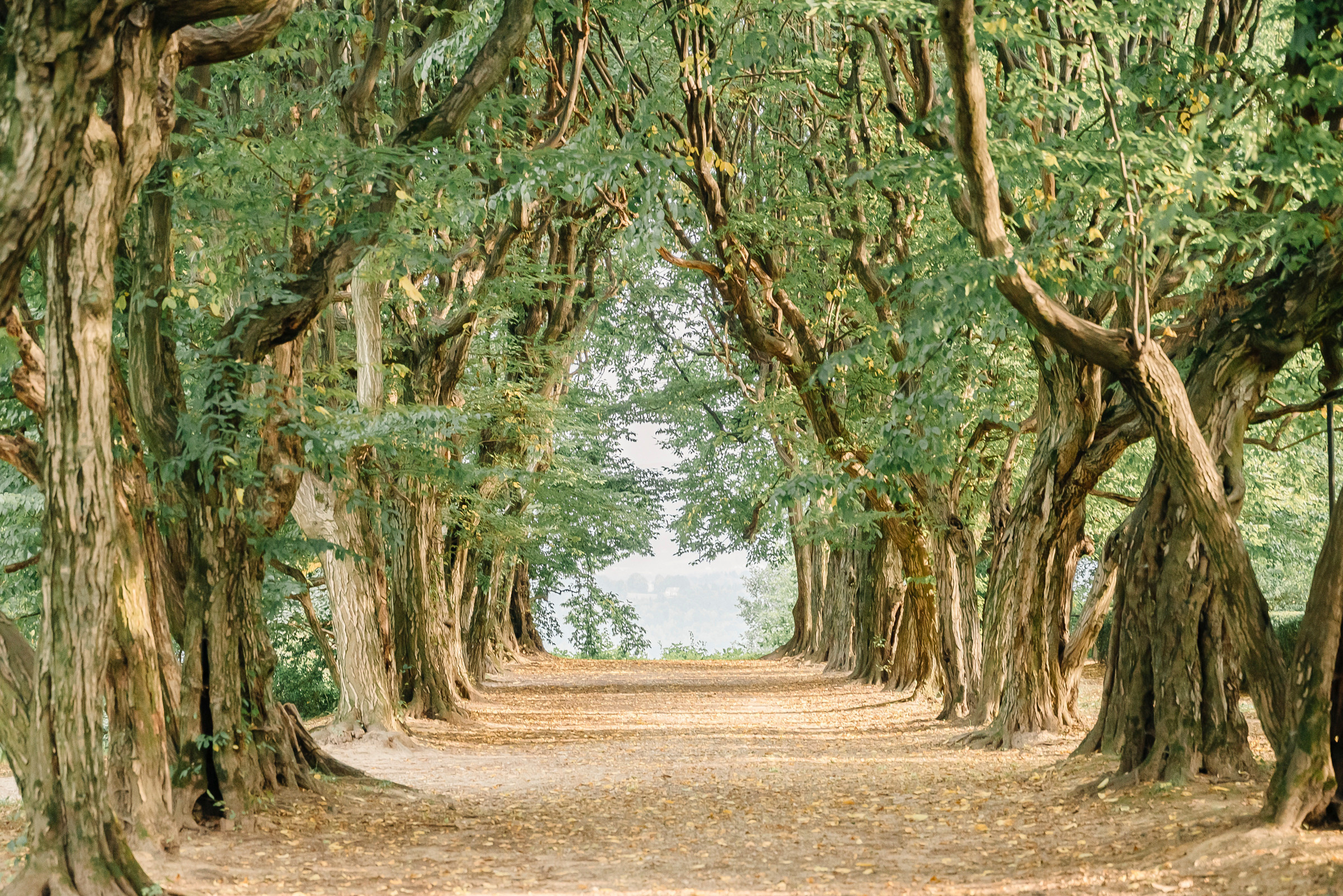 Engagement. Calgary wedding photographer. Andrii Bielikov