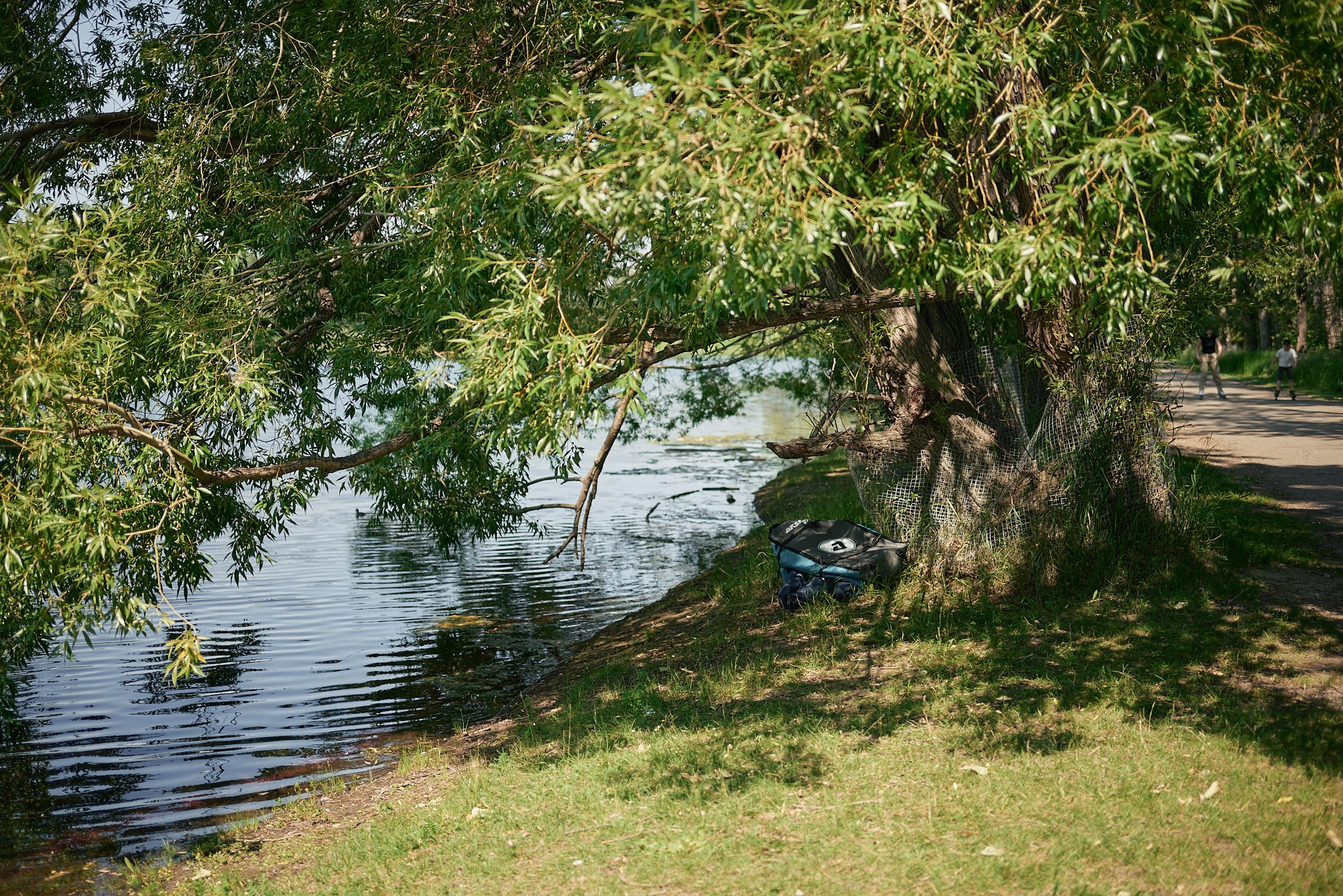 Carburn Park. Calgary wedding photo and video. Photographer Andrii Bielikov