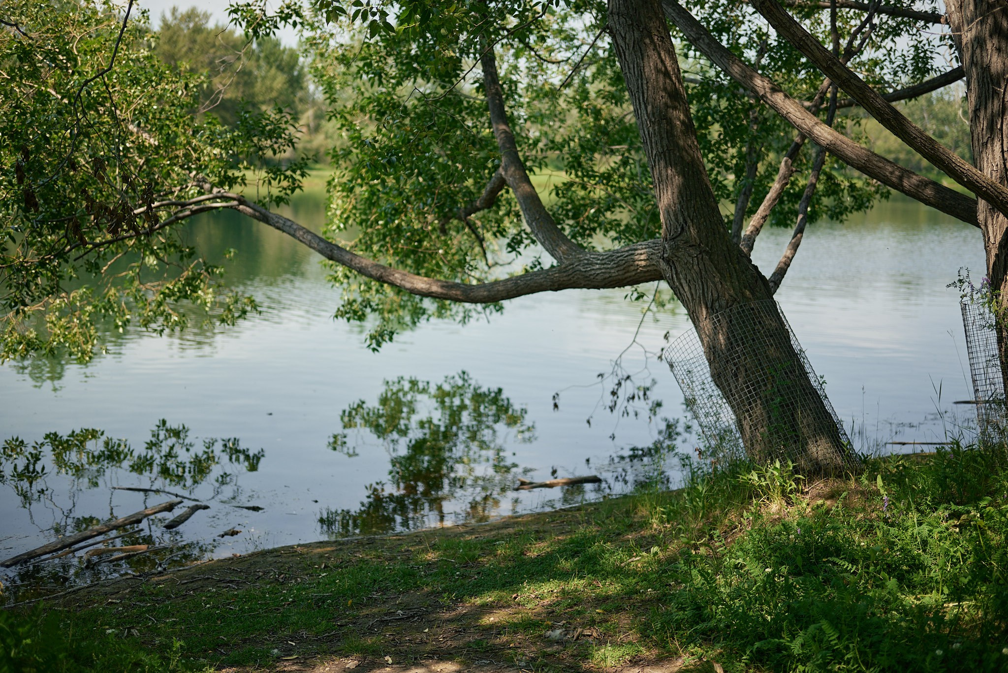 Carburn Park. Calgary wedding photo and video. Photographer Andrii Bielikov