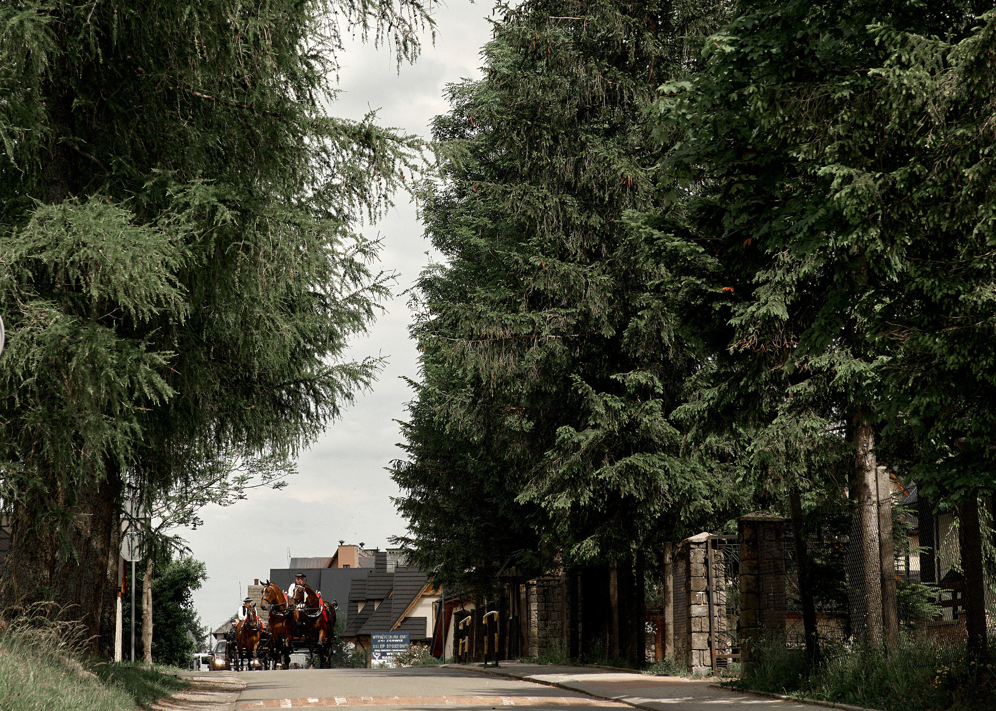 Wedding in mountains. Calgary wedding photographer. Andrii Bielikov