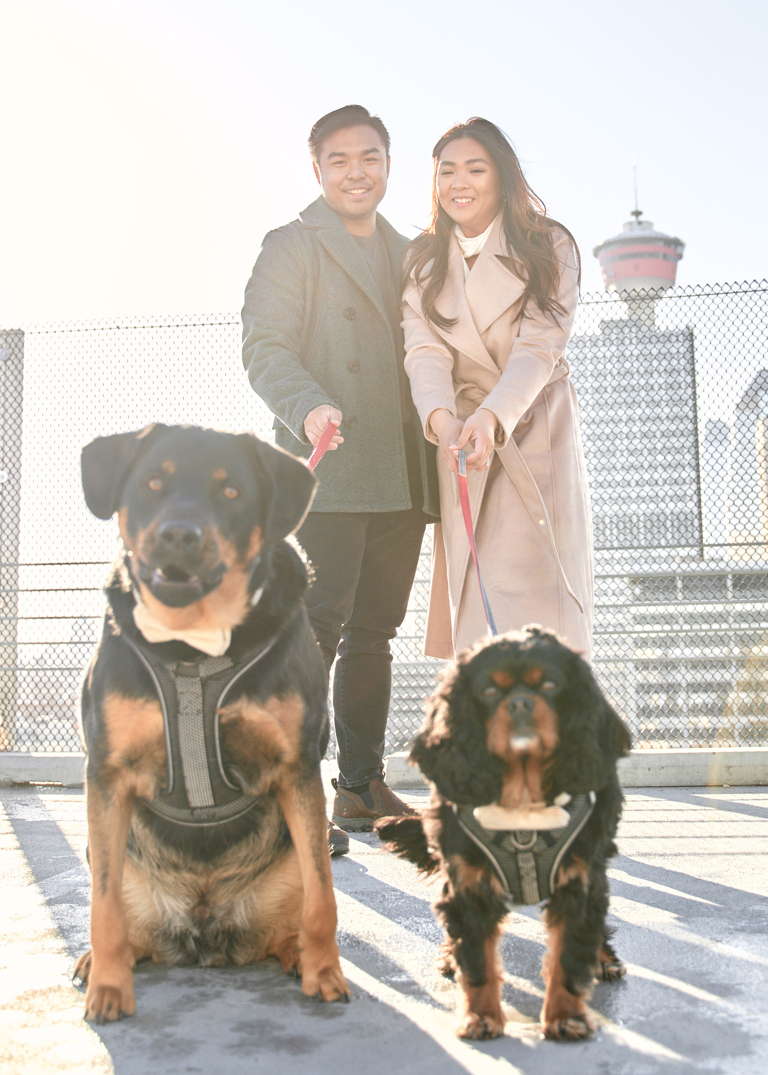 Engagement photoshoot in Calgary. Calgary wedding photographer. Andrii Bielikov