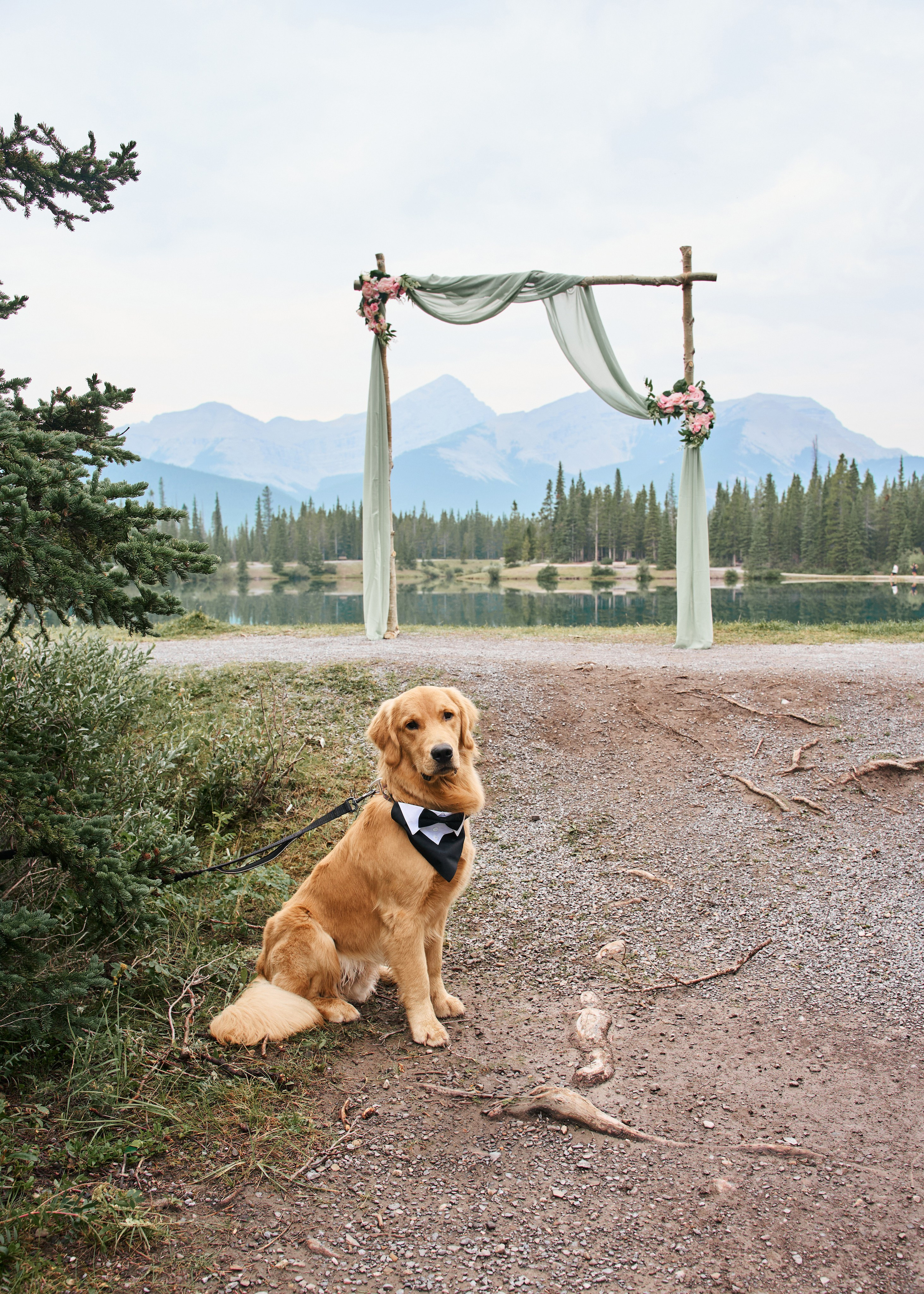 Natalie&Mat. A small, intimate wedding at Forgetmenot Lake, Kananaskis Park. Calgary wedding photographer. Andrii Bielikov