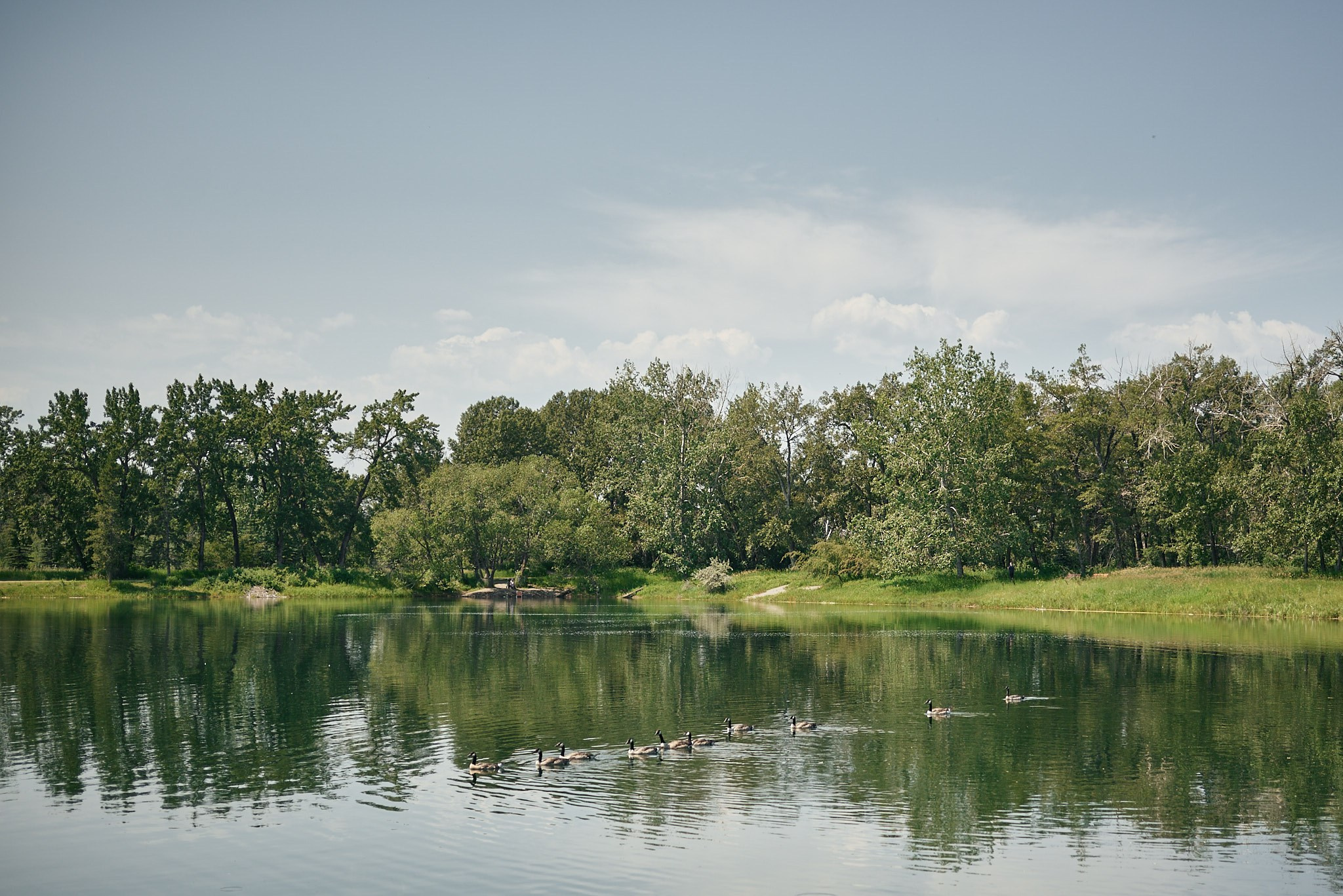 Carburn Park. Calgary wedding photo and video. Photographer Andrii Bielikov