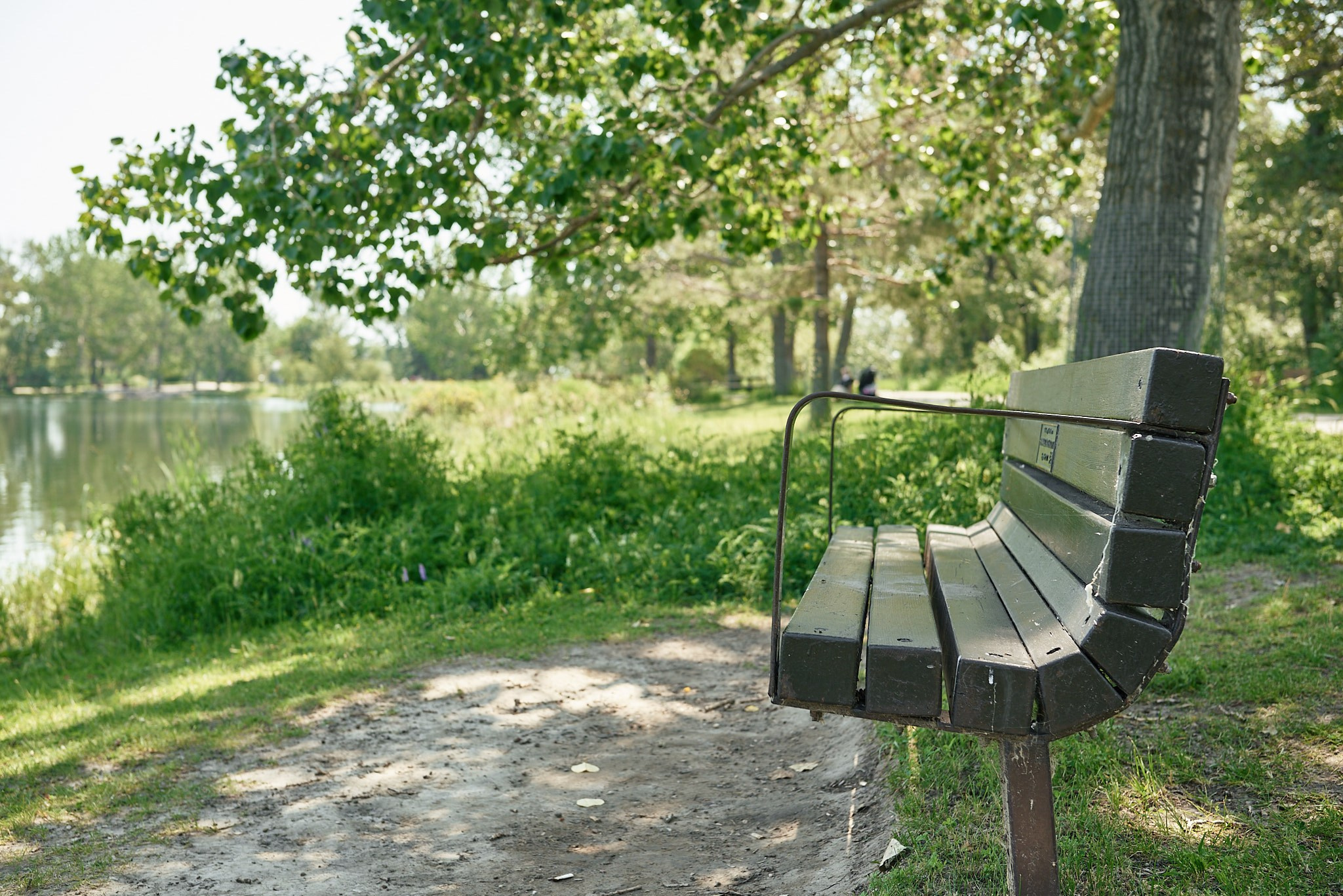 Carburn Park. Calgary wedding photo and video. Photographer Andrii Bielikov
