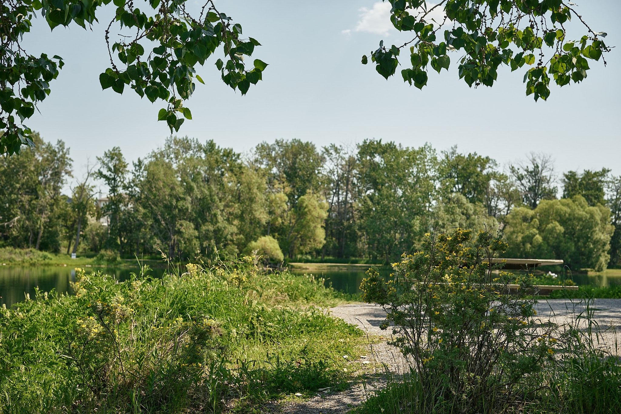 Carburn Park. Calgary wedding photo and video. Photographer Andrii Bielikov