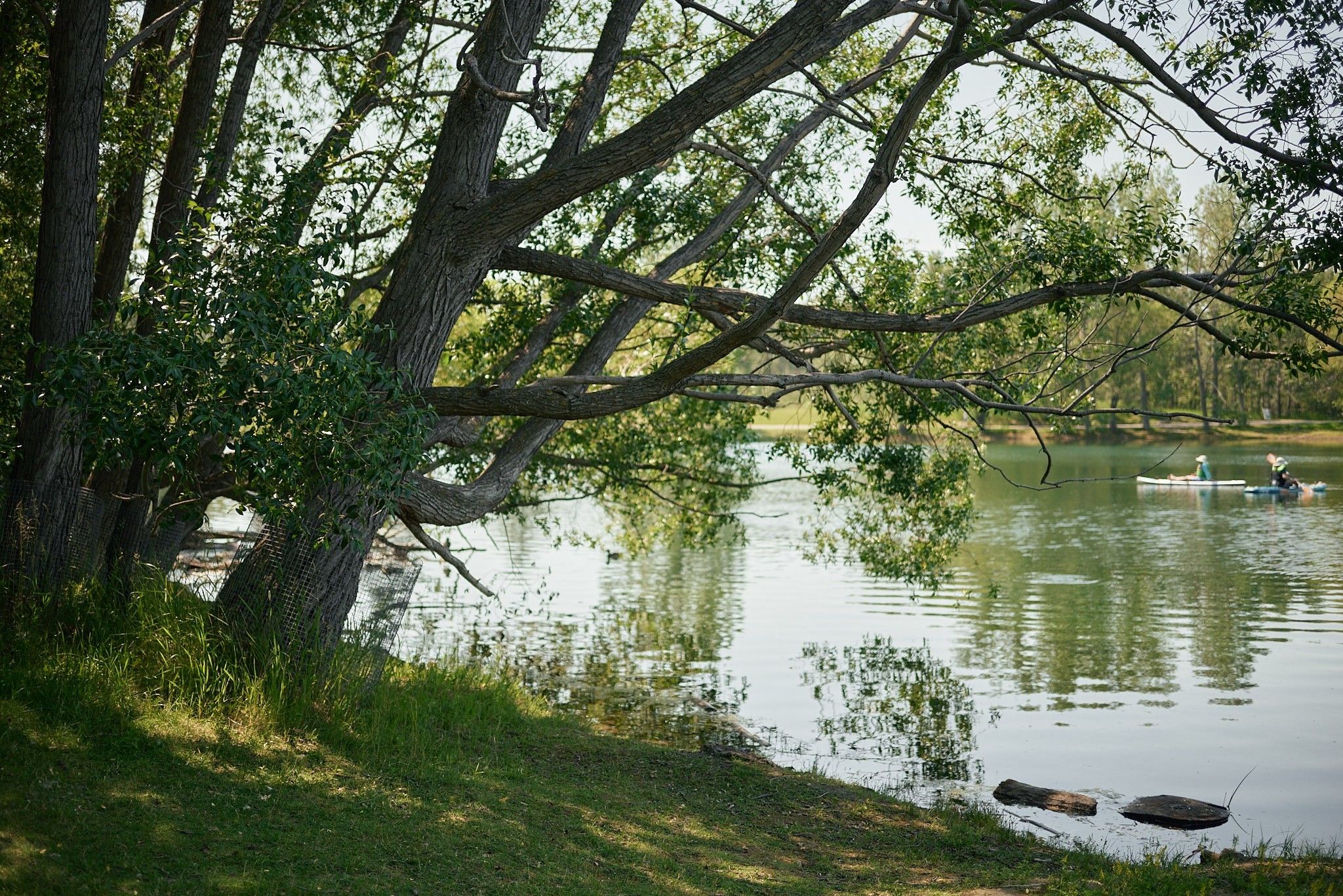 Carburn Park. Calgary wedding photo and video. Photographer Andrii Bielikov