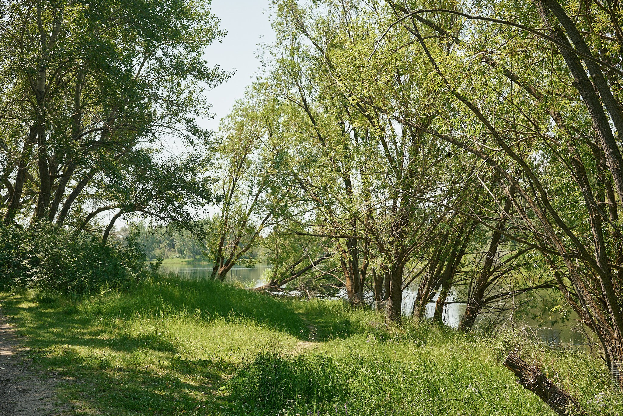Carburn Park. Calgary wedding photo and video. Photographer Andrii Bielikov