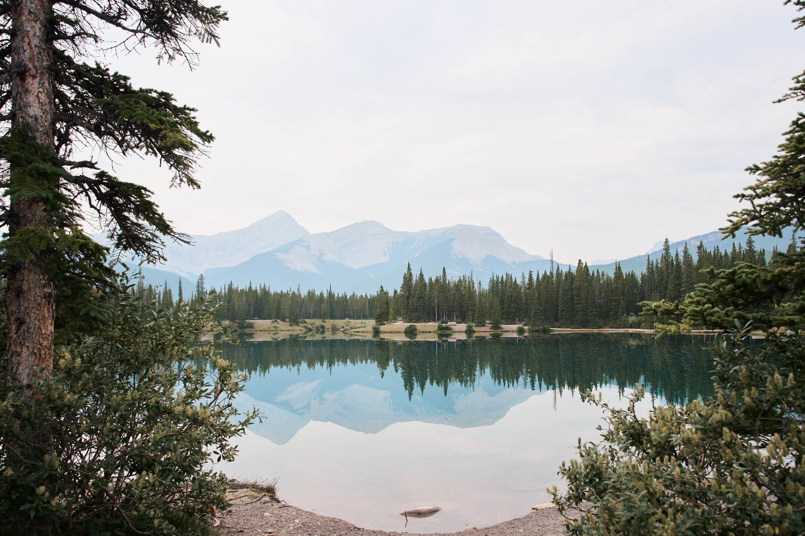 Natalie&Mat. A small, intimate wedding at Forgetmenot Lake, Kananaskis Park. Calgary wedding photographer. Andrii Bielikov