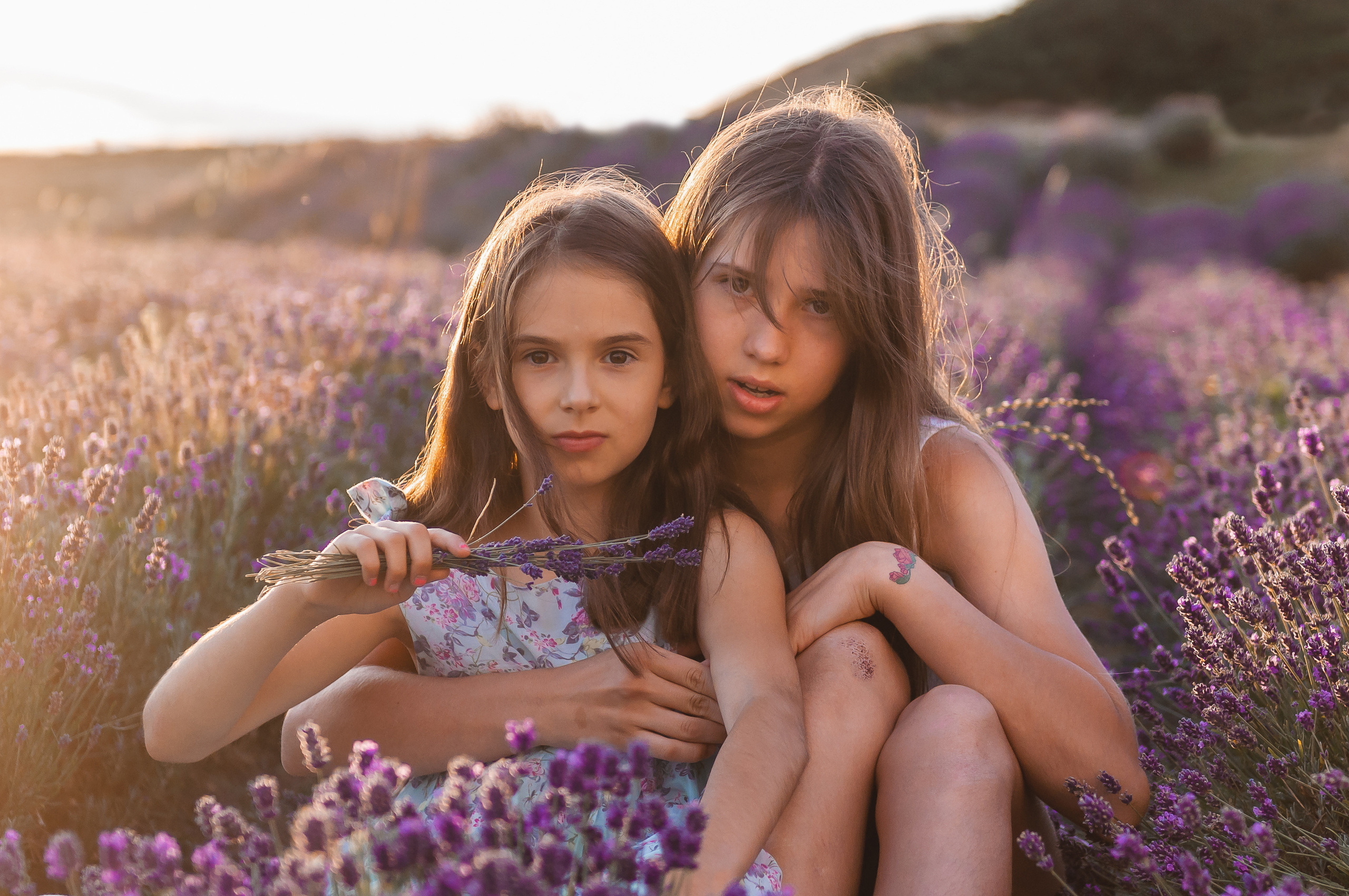 Photoshoot for a large family in the lavender field. Calgary wedding photographer. Andrii Bielikov
