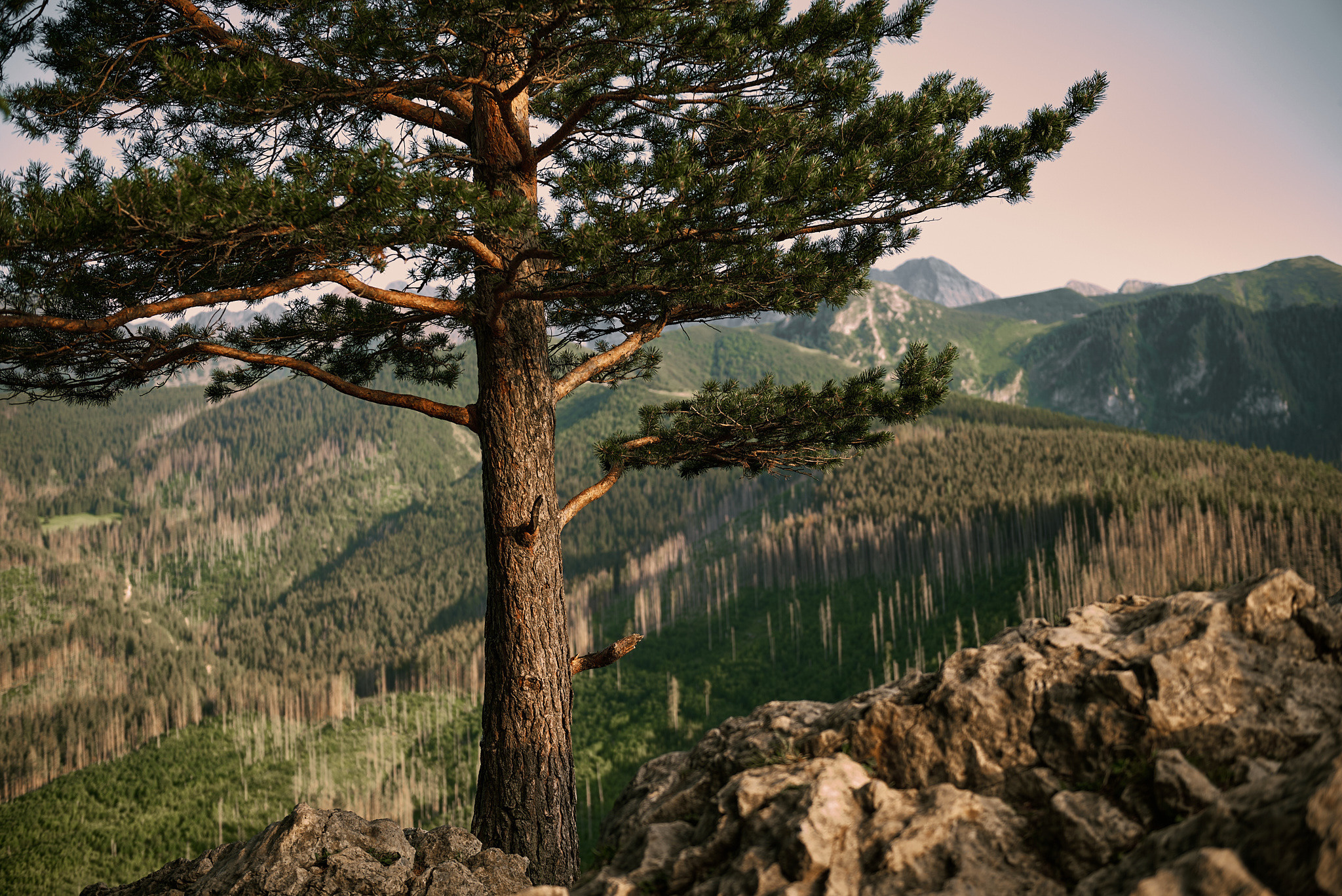 Wedding in mountains. Calgary wedding photographer. Andrii Bielikov