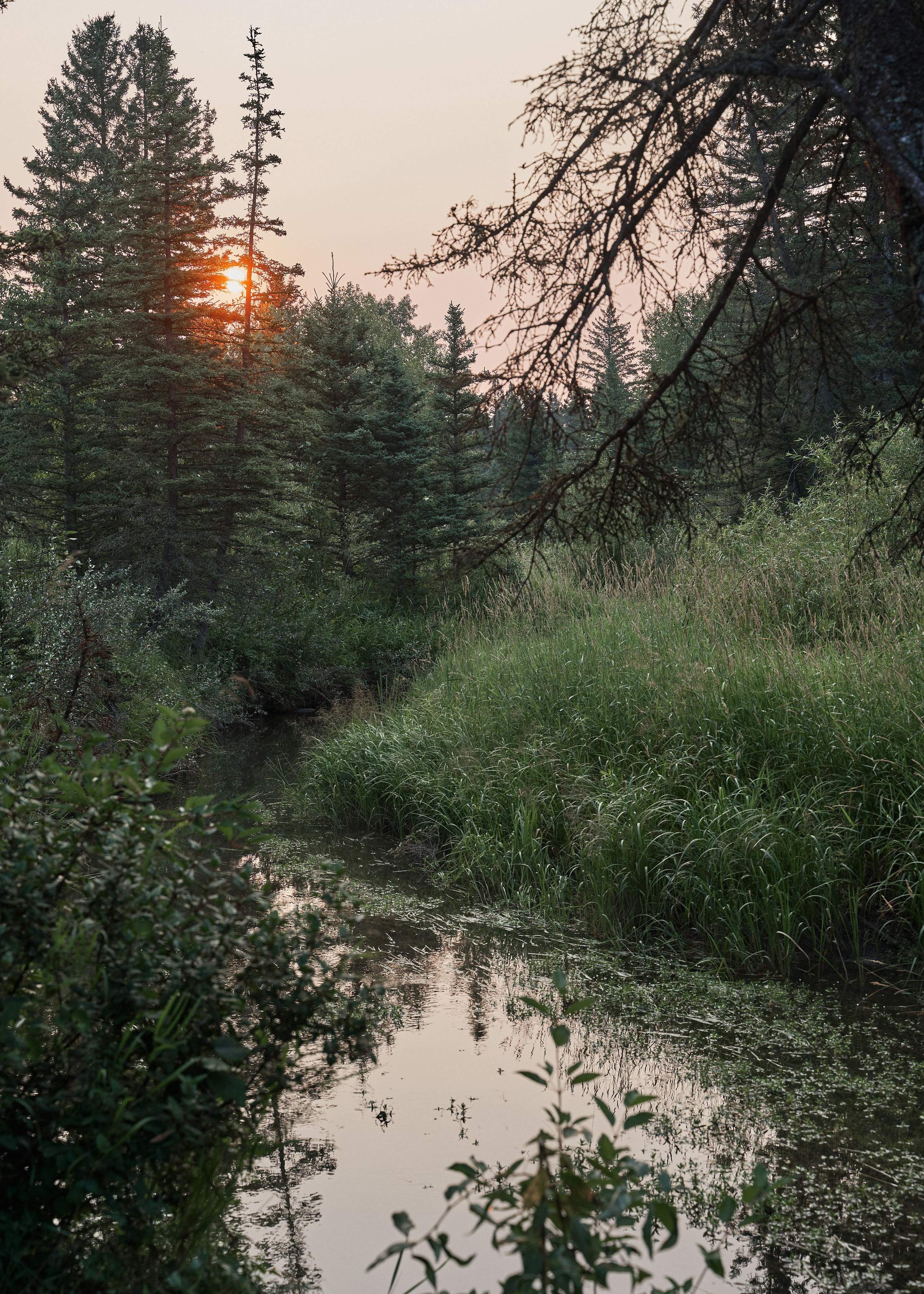 Natalie&Mat. A small, intimate wedding at Forgetmenot Lake, Kananaskis Park. Calgary wedding photographer. Andrii Bielikov