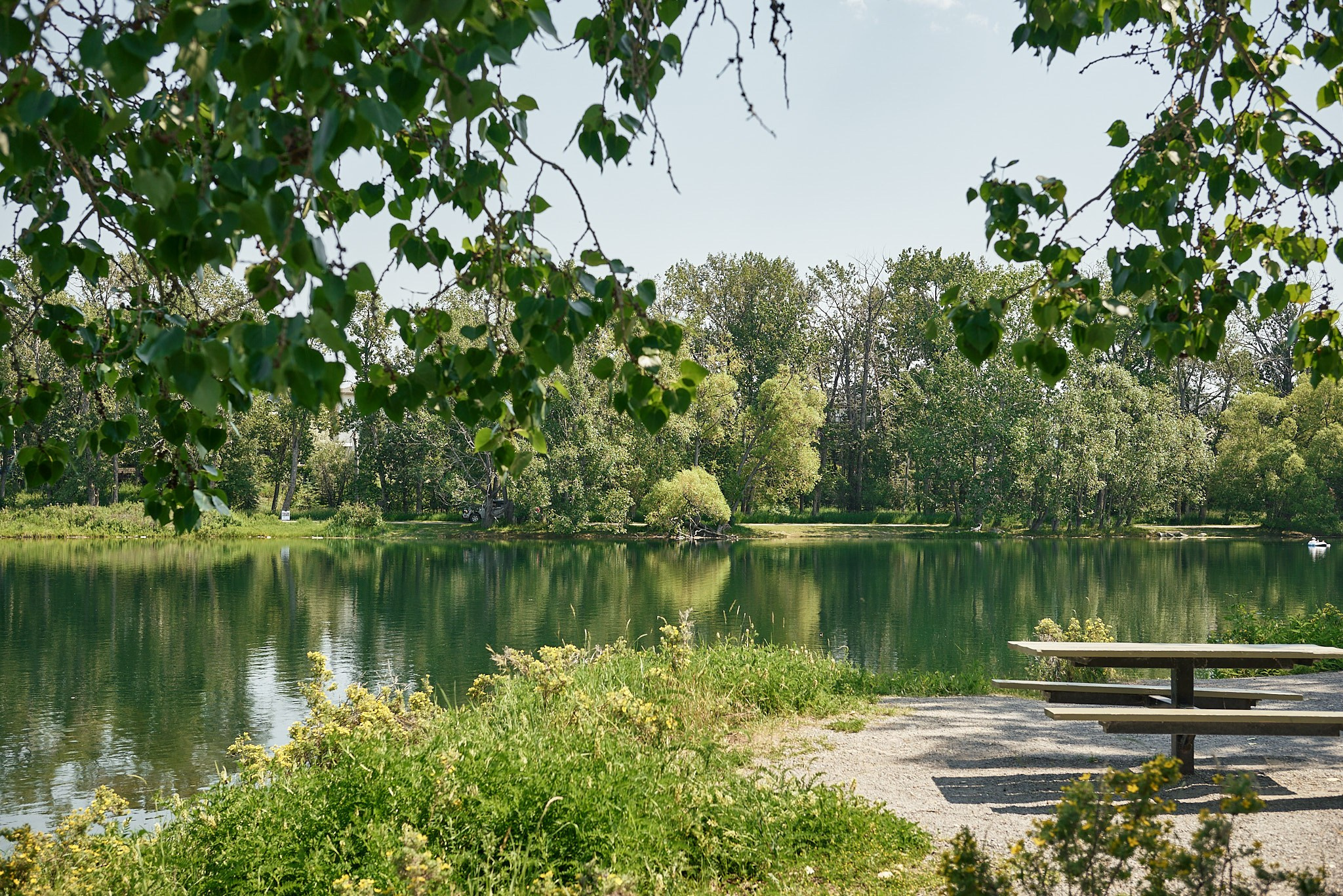 Carburn Park. Calgary wedding photo and video. Photographer Andrii Bielikov