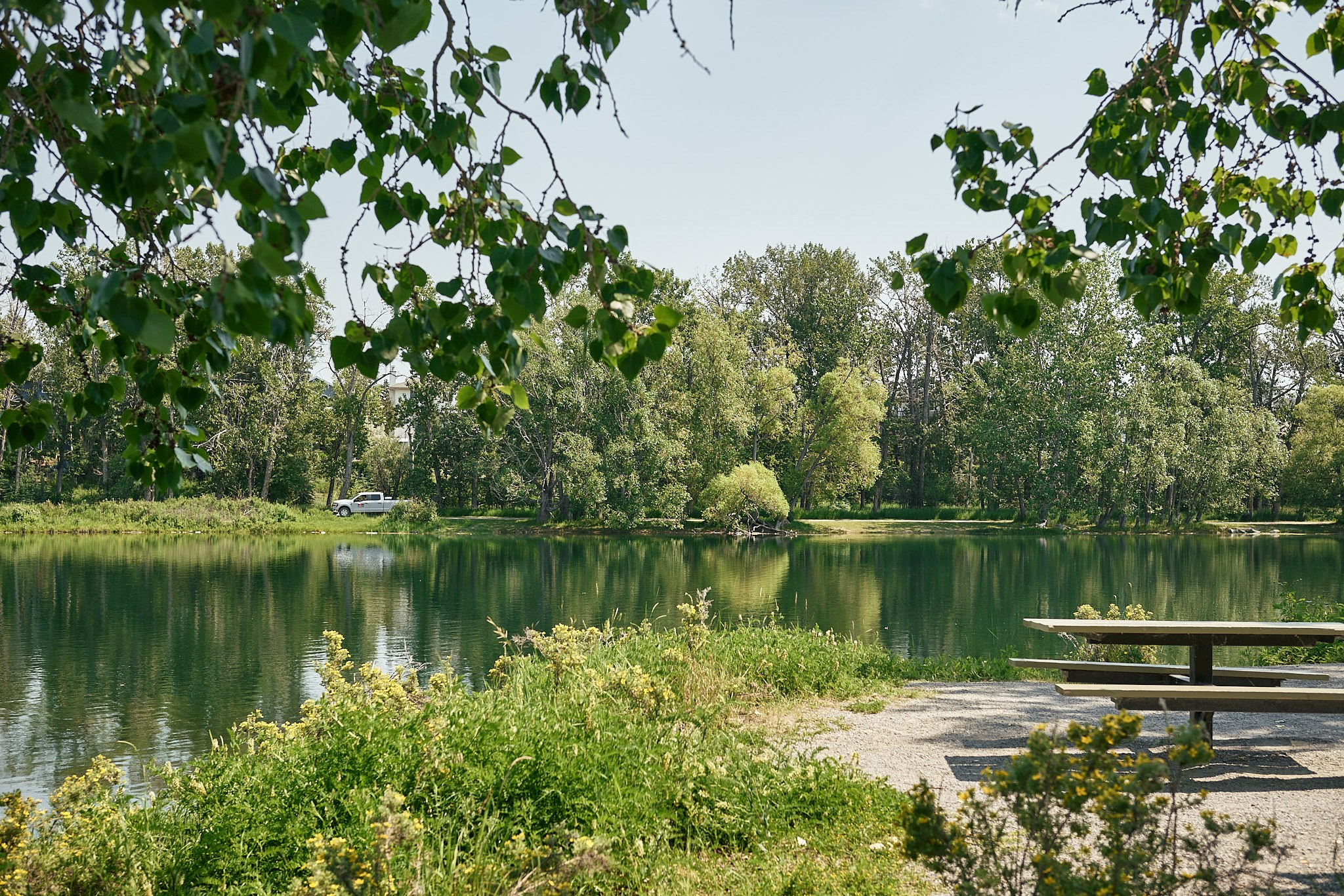 Carburn Park. Calgary wedding photo and video. Photographer Andrii Bielikov