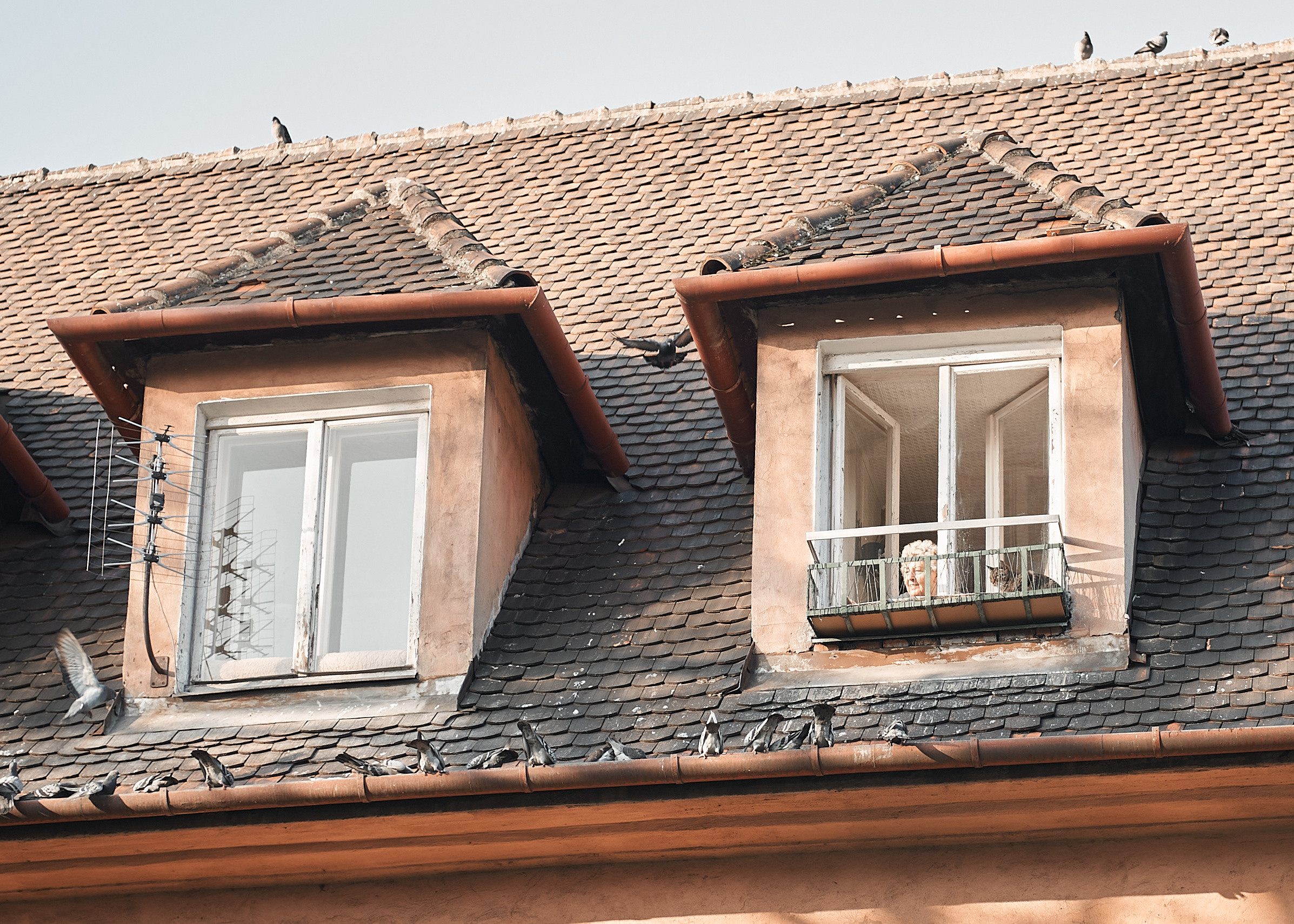 Wedding in the church. Calgary wedding photographer. Andrii Bielikov