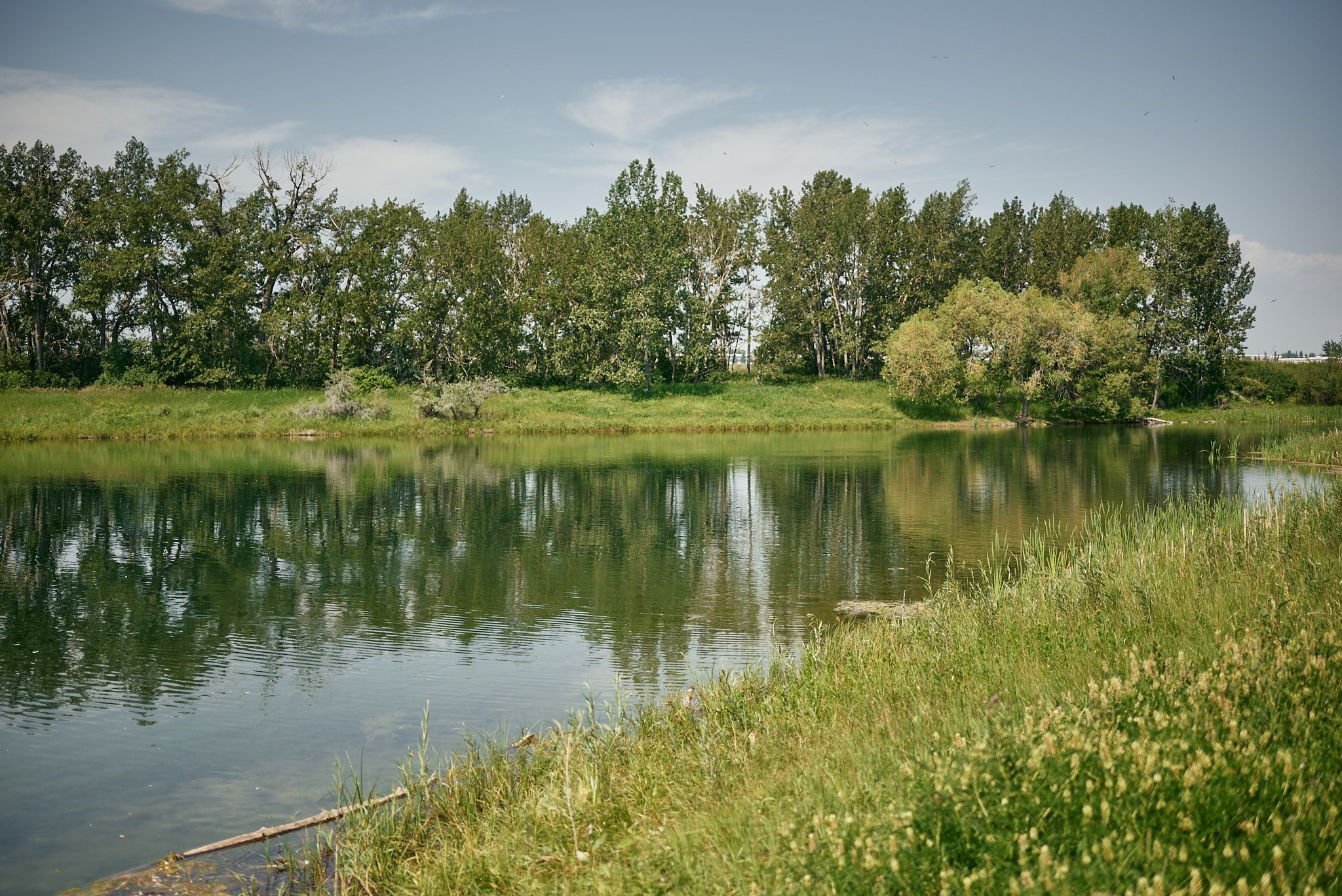 Carburn Park. Calgary wedding photo and video. Photographer Andrii Bielikov