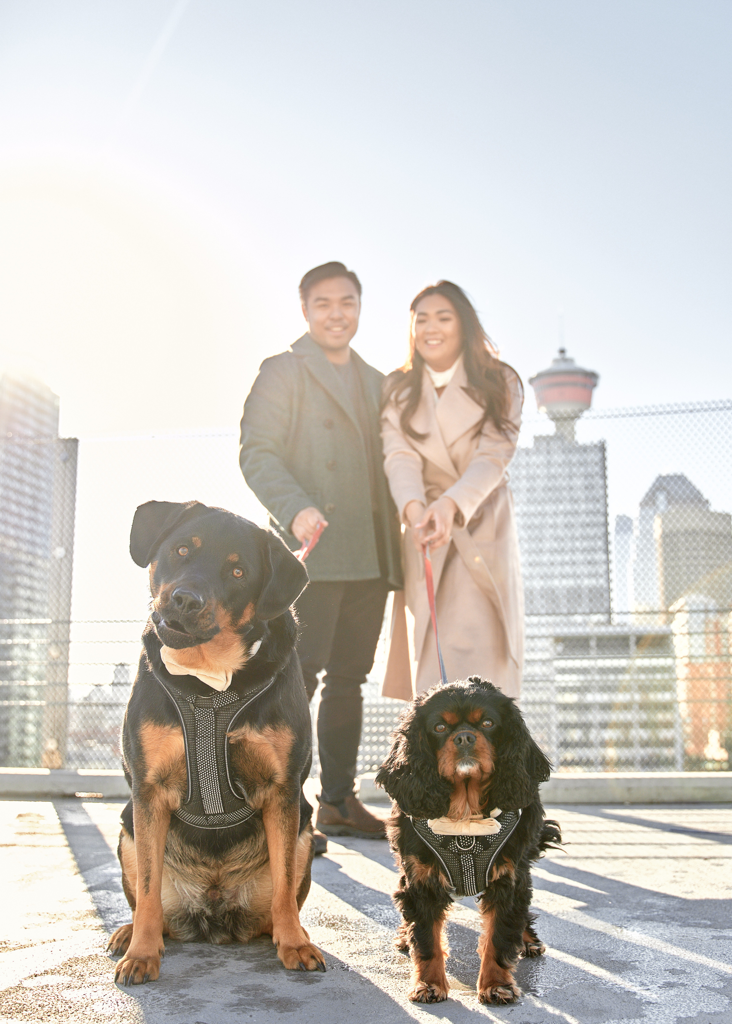 Engagement photoshoot in Calgary. Calgary wedding photographer. Andrii Bielikov