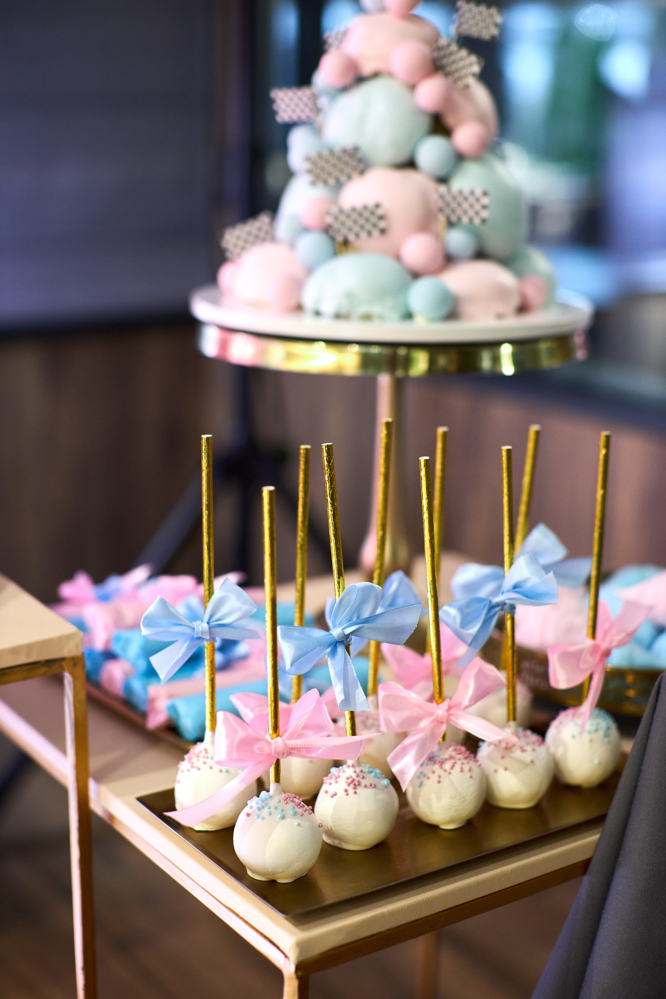 GENDER PARTY. PODDUBNYAK ANDREY PHOTOGRAPHER