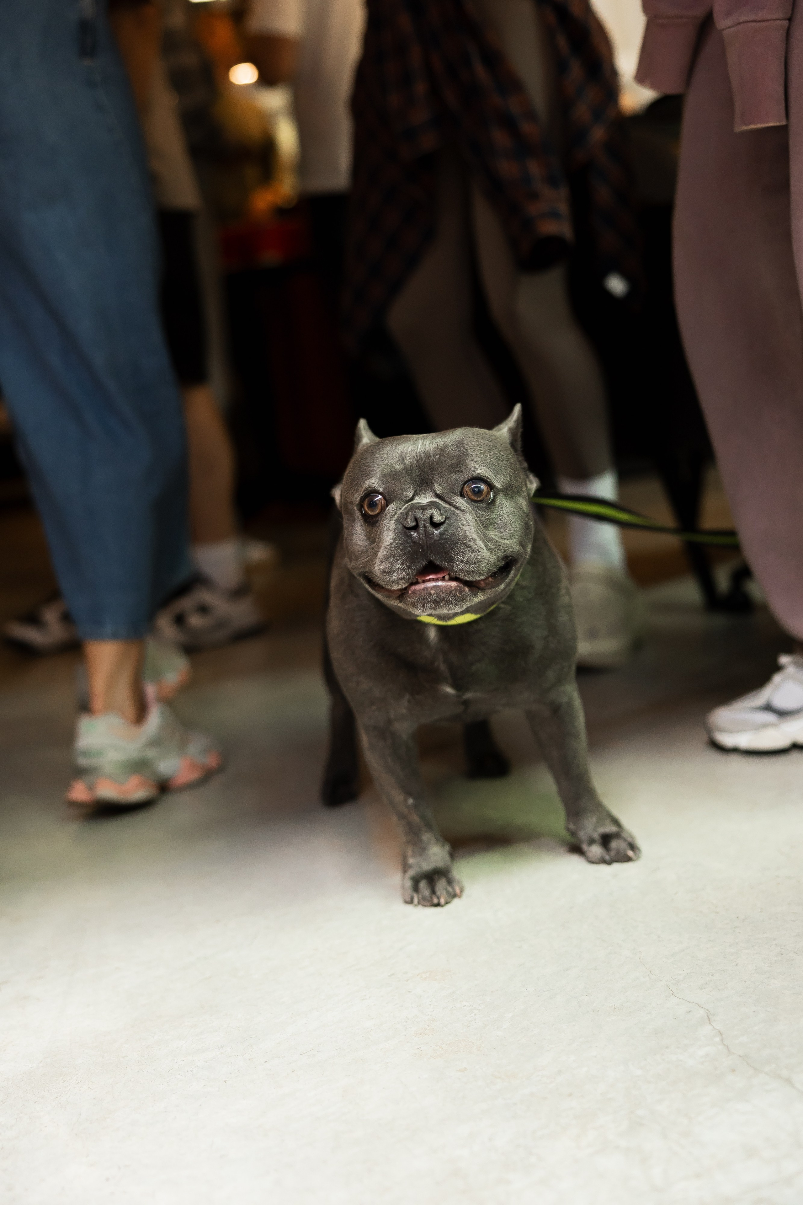 KYIV MORNING COFFEE CLUB. PODDUBNYAK ANDREY PHOTOGRAPHER
