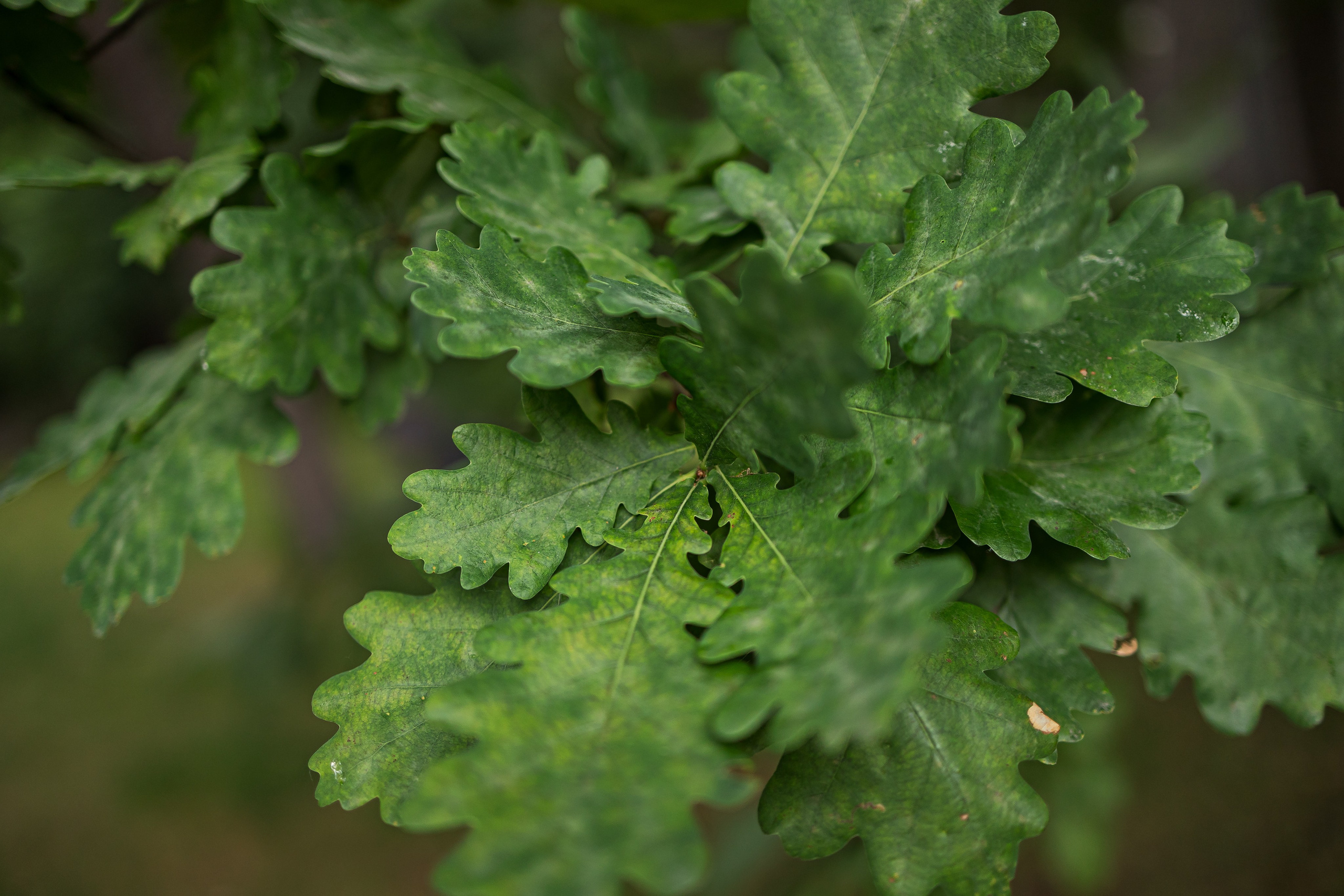 MAKSIM & IRINA. PODDUBNYAK ANDREY PHOTOGRAPHER