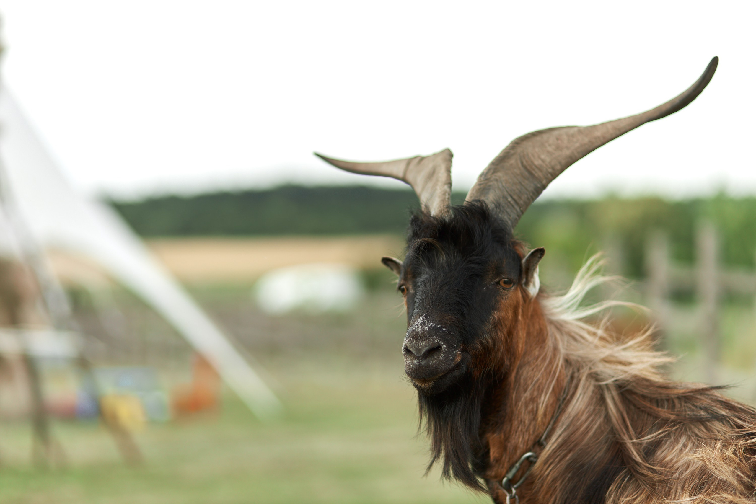 MYKYTA & KATERYNA. PODDUBNYAK ANDREY PHOTOGRAPHER