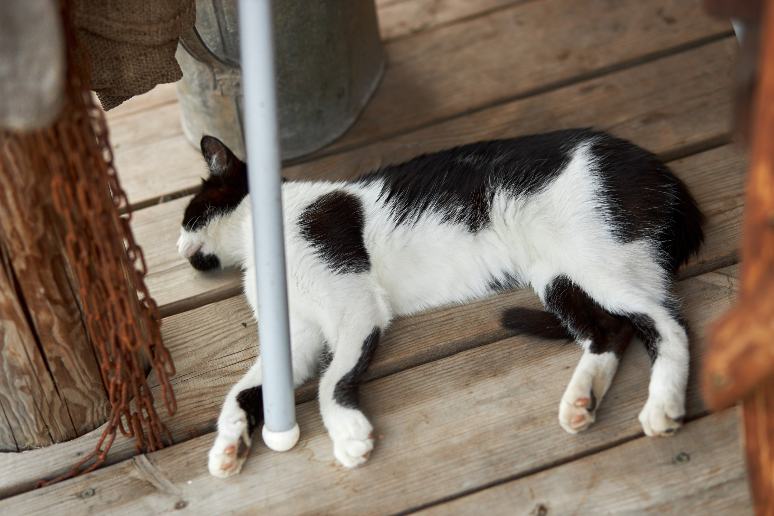 MYKYTA & KATERYNA. PODDUBNYAK ANDREY PHOTOGRAPHER