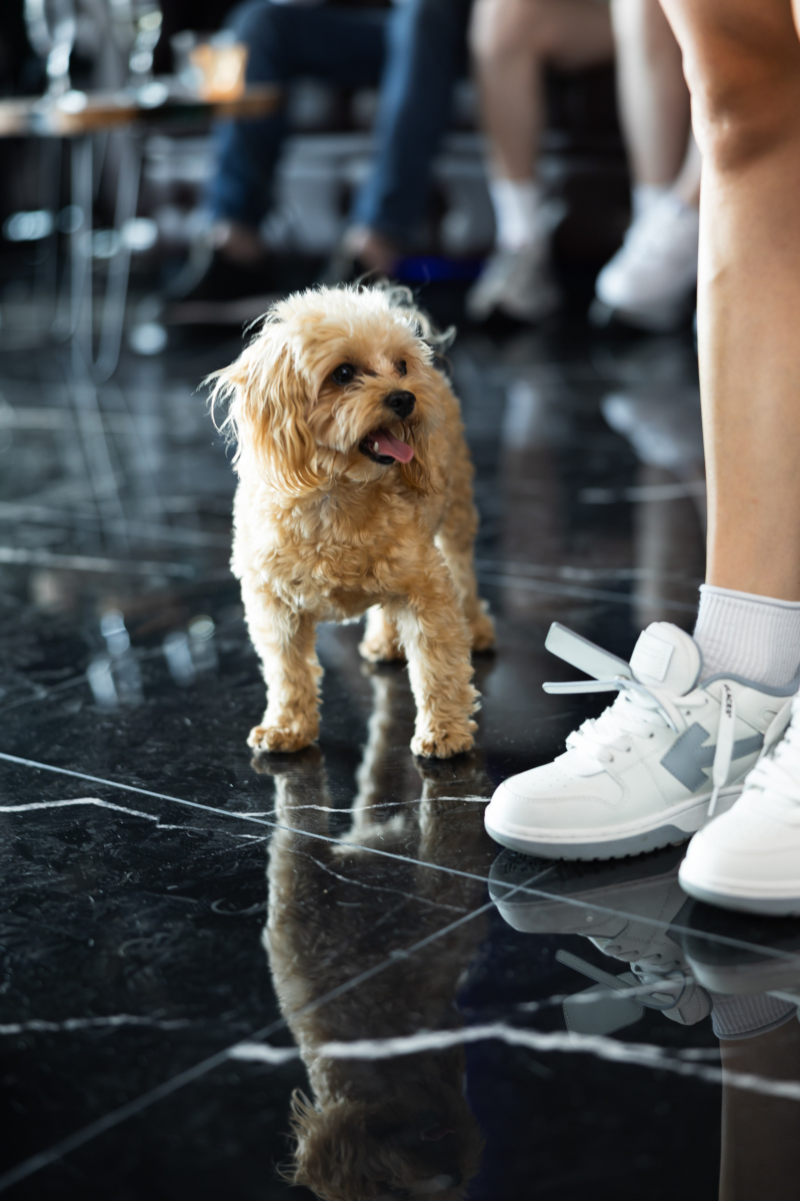 BARBERKING. PODDUBNYAK ANDREY PHOTOGRAPHER