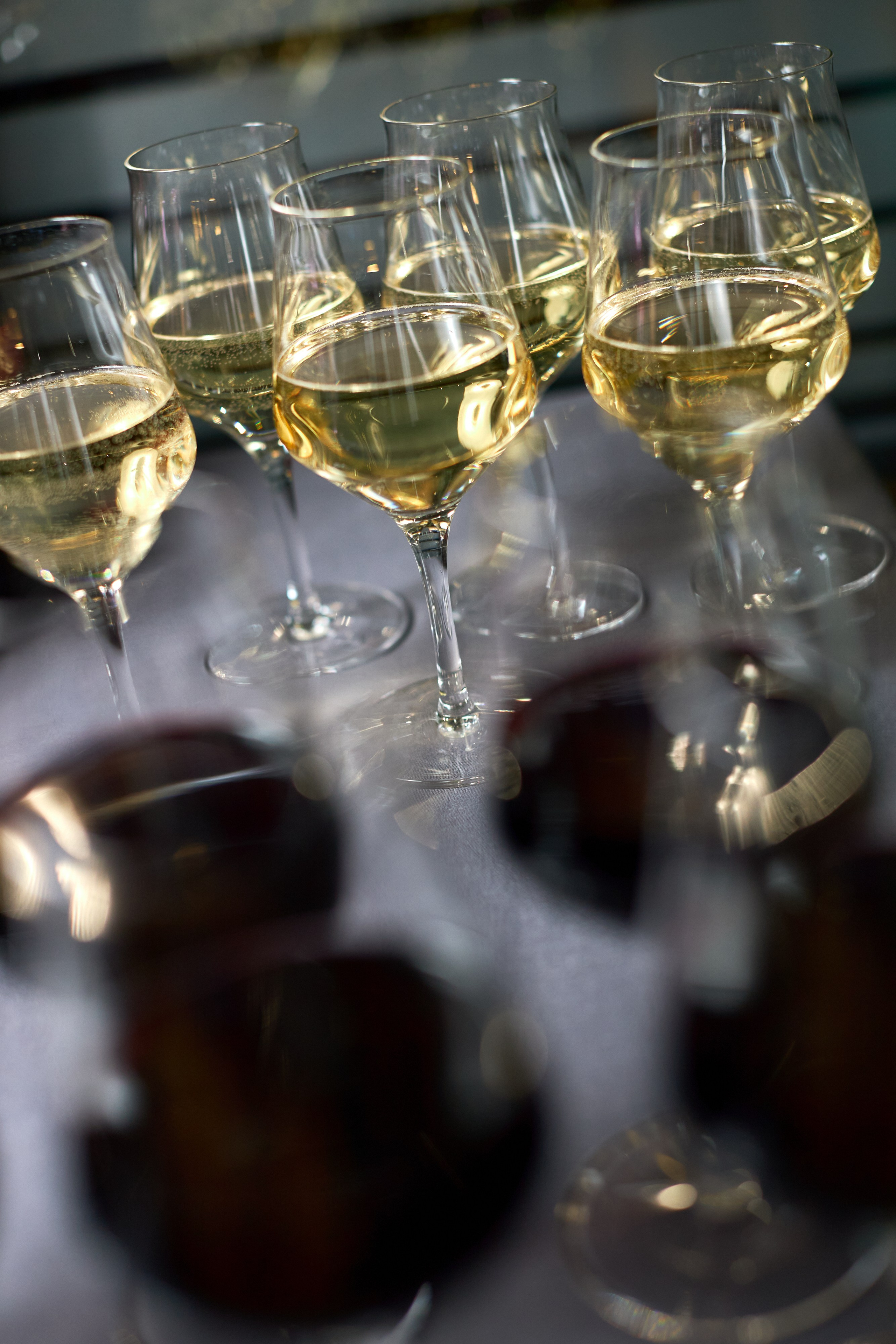 GENDER PARTY. PODDUBNYAK ANDREY PHOTOGRAPHER