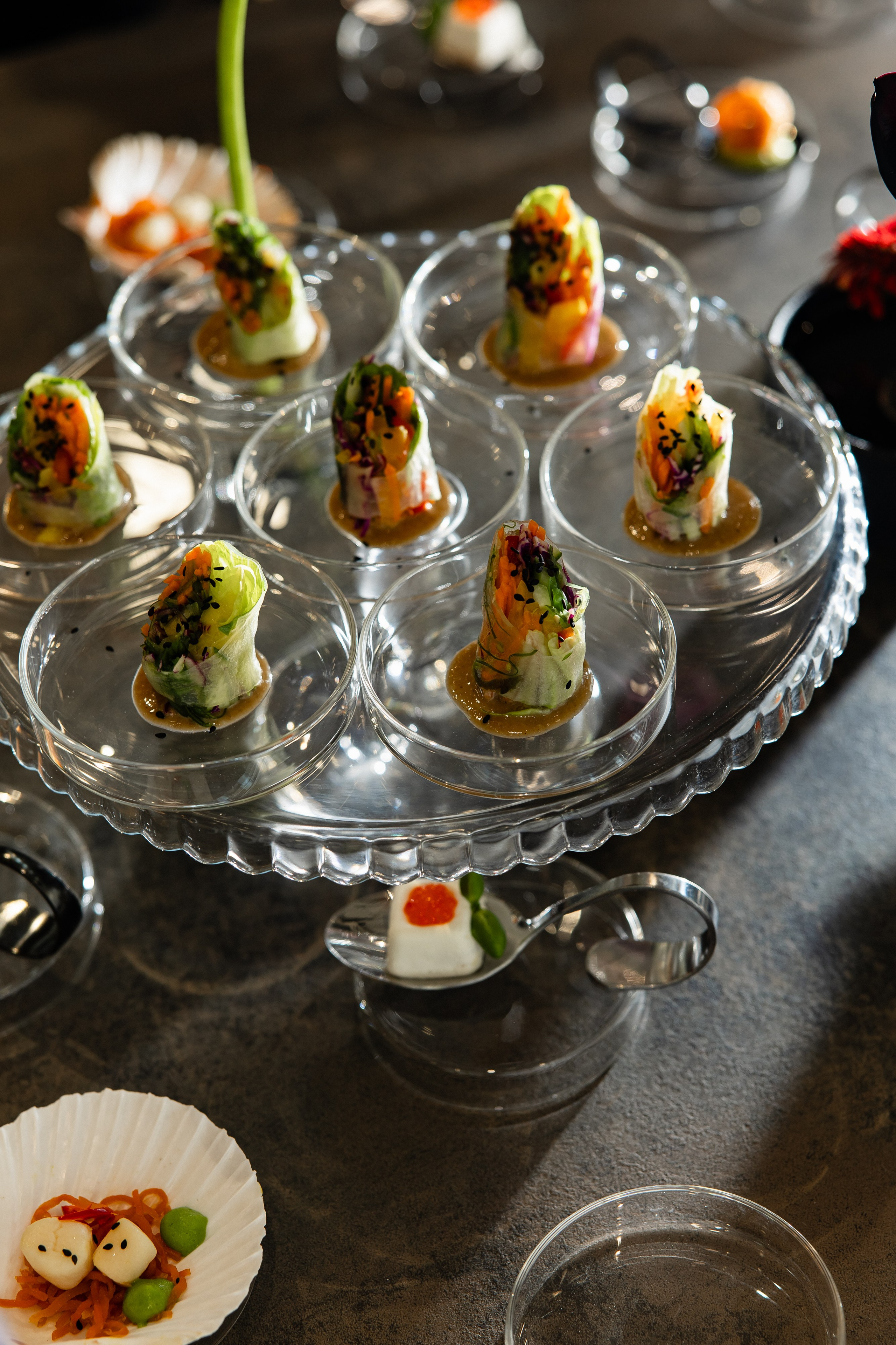 PERKOFFOPTIC BOUTIQUE. PODDUBNYAK ANDREY PHOTOGRAPHER