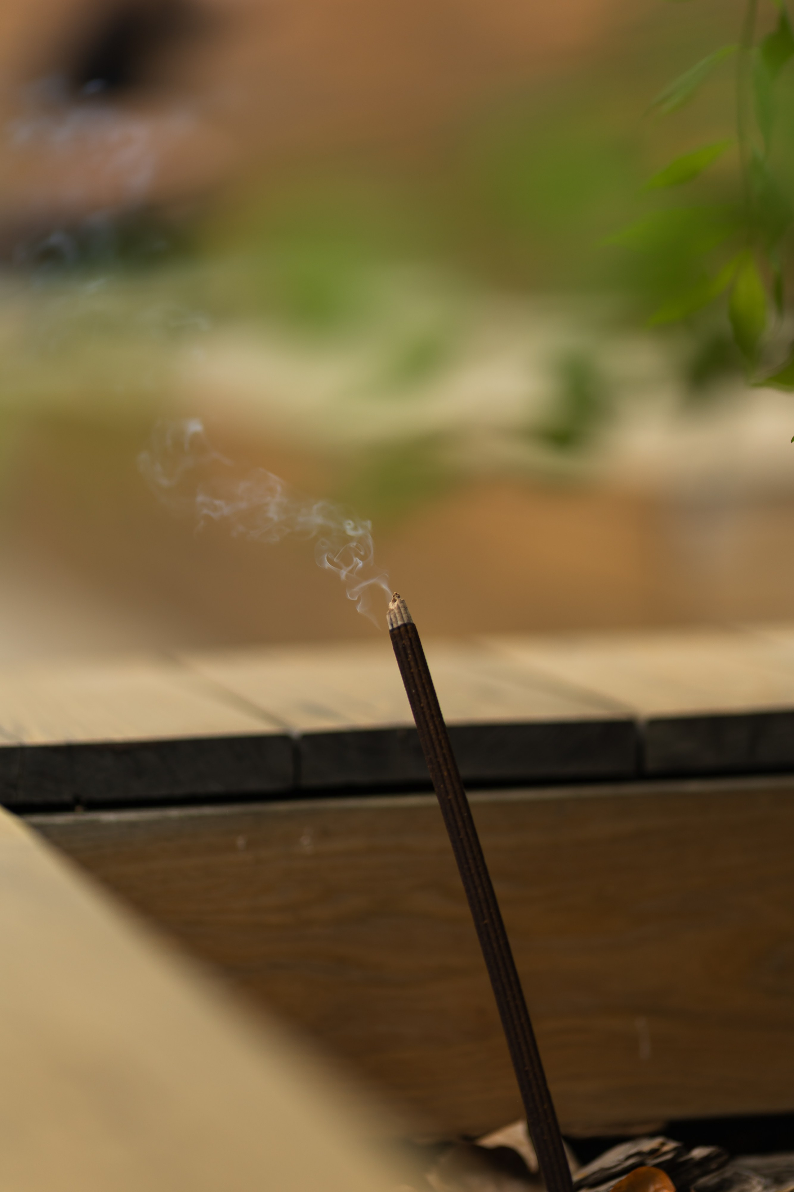 KYIV MORNING COFFEE CLUB. PODDUBNYAK ANDREY PHOTOGRAPHER