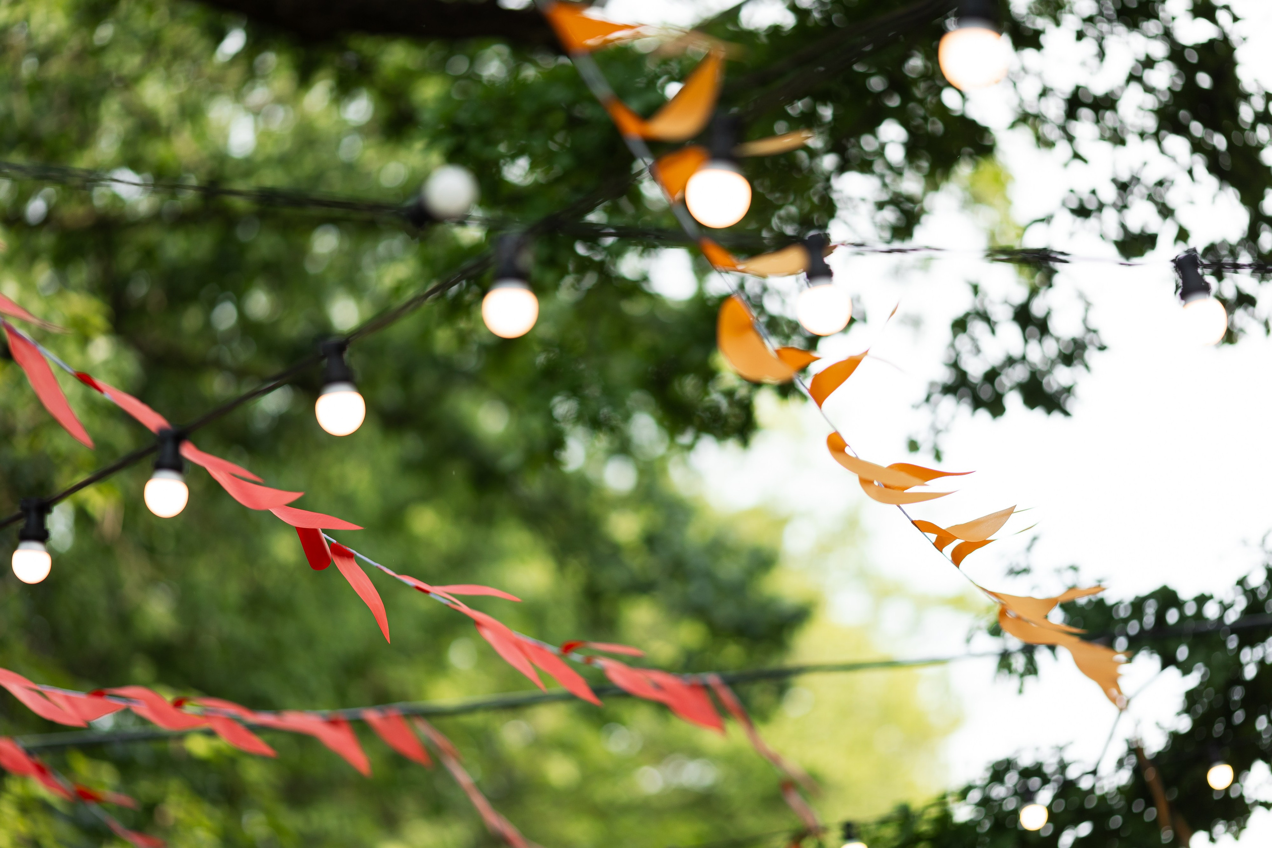 FEST. POKOLINNIA. PODDUBNYAK ANDREY PHOTOGRAPHER