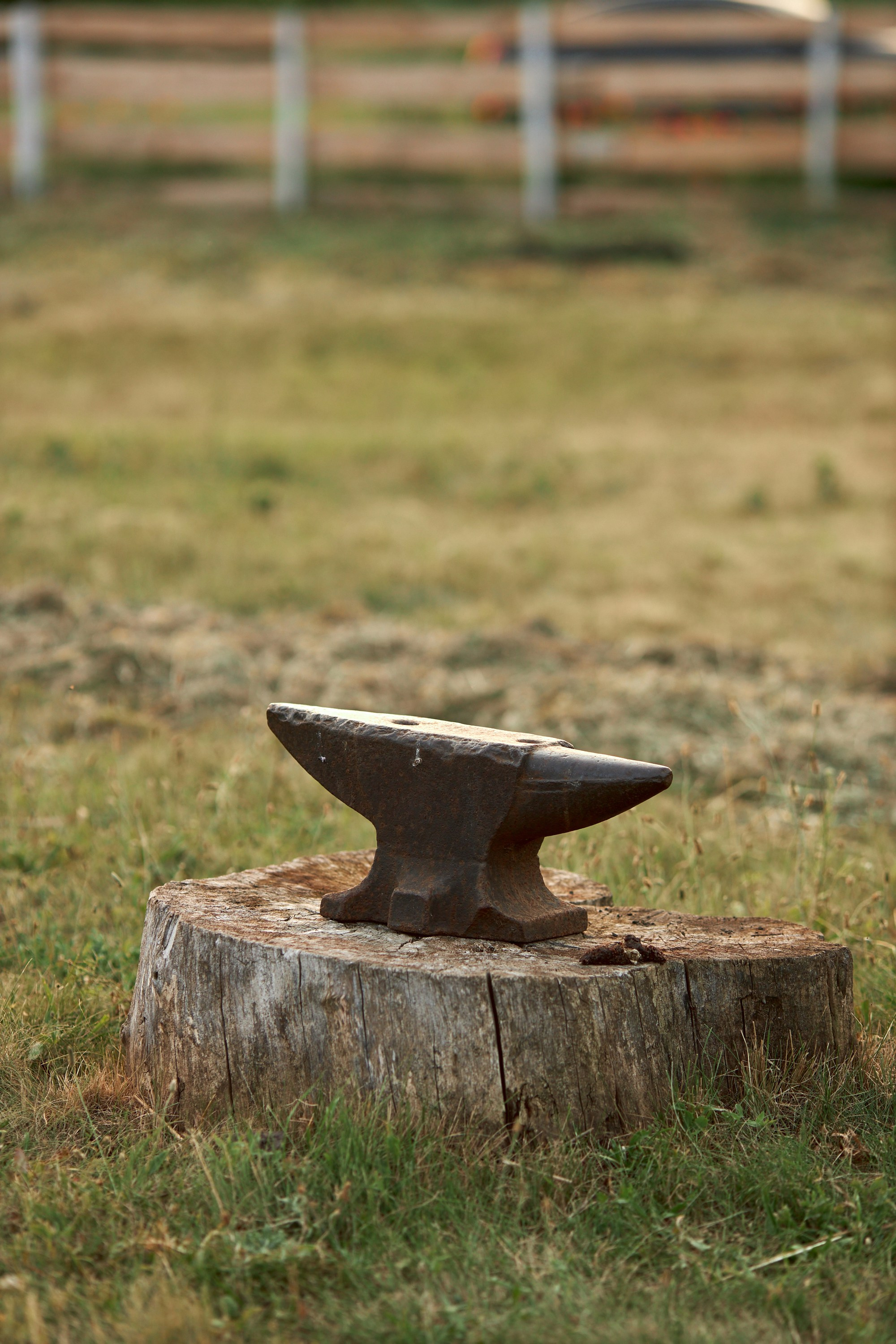 MYKYTA & KATERYNA. PODDUBNYAK ANDREY PHOTOGRAPHER