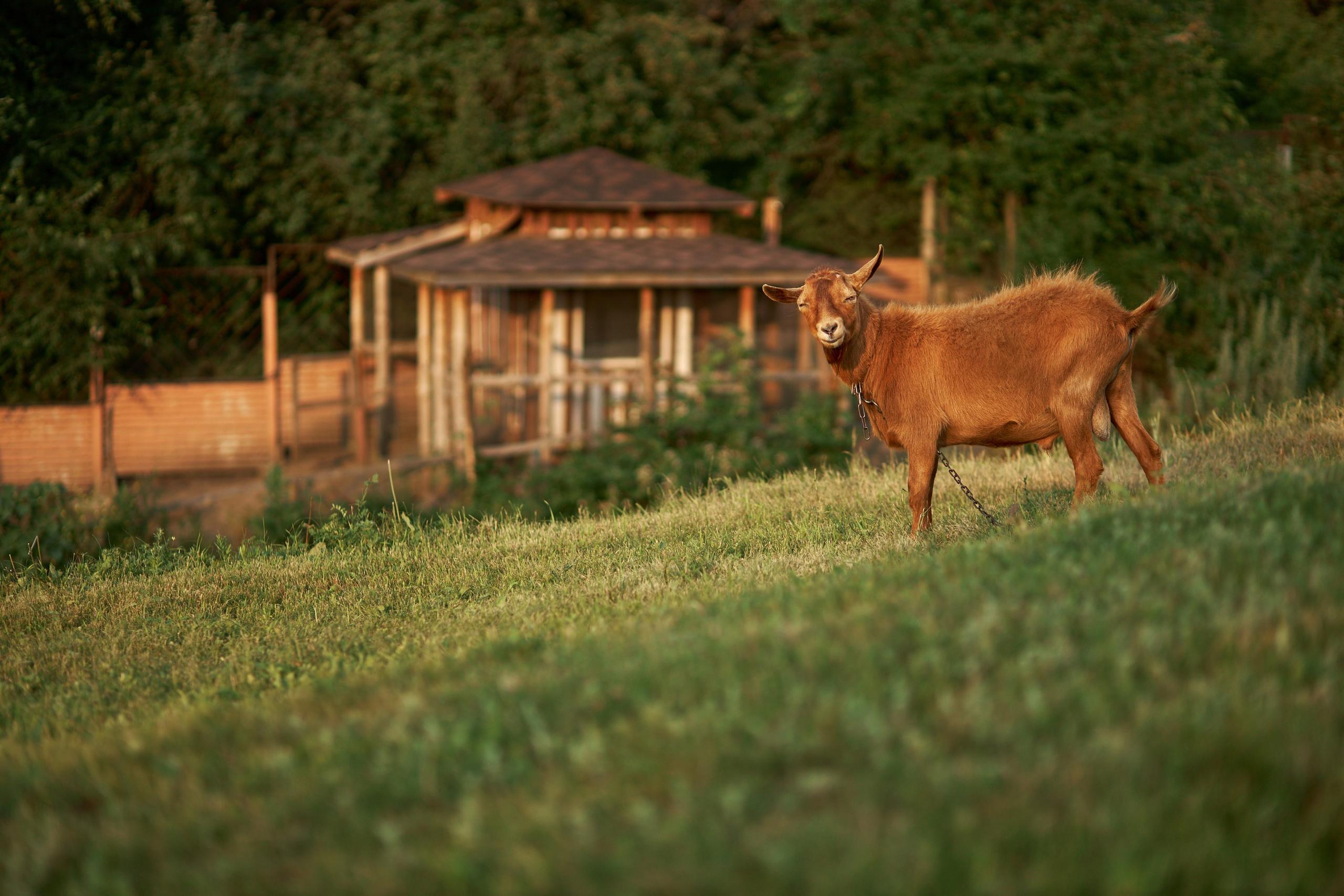 MYKYTA & KATERYNA. PODDUBNYAK ANDREY PHOTOGRAPHER